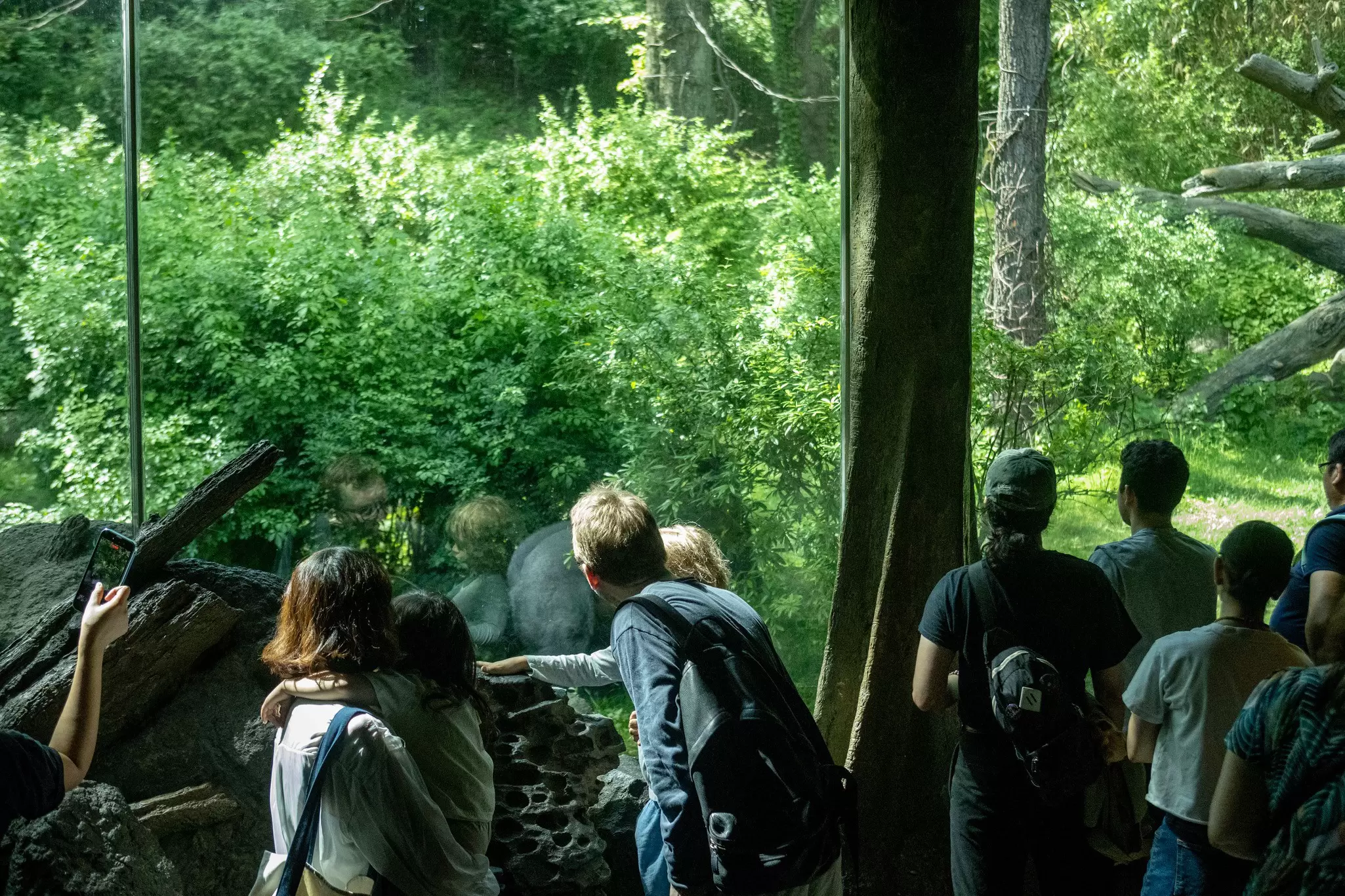 People gather round a glass window to look into an enclosure at the Bronx Zoo, New York City, USA.