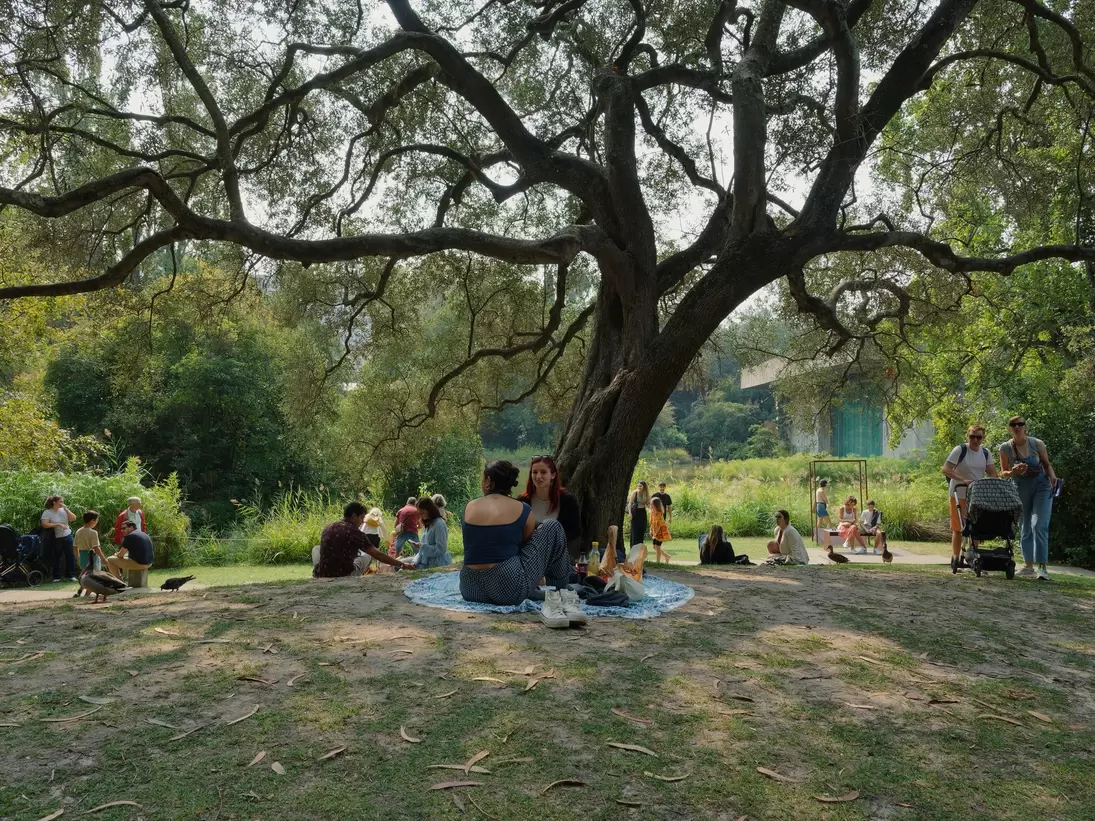 People gather under the shade of a sprawling tree in the tranquil garden of the Fundação Calouste Gulbenkian in Lisbon, Portugal.