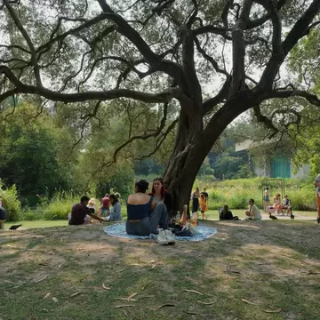 People gather under the shade of a sprawling tree in the tranquil garden of the Fundação Calouste Gulbenkian in Lisbon, Portugal.