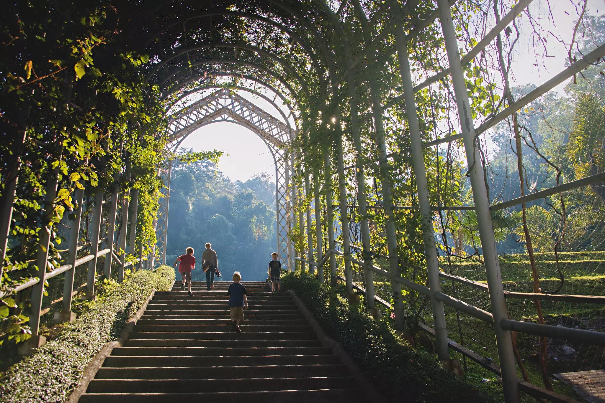 Young children will love running free in Chiang Mai's beautiful jungle landscapes. Smith Photographers / Getty Images