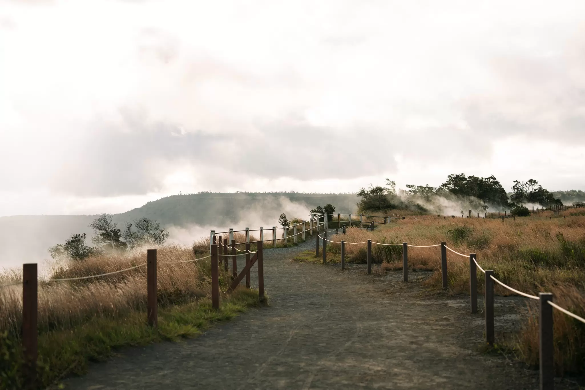 037_Park_241208_LP-VolcanoHouse_042.jpg