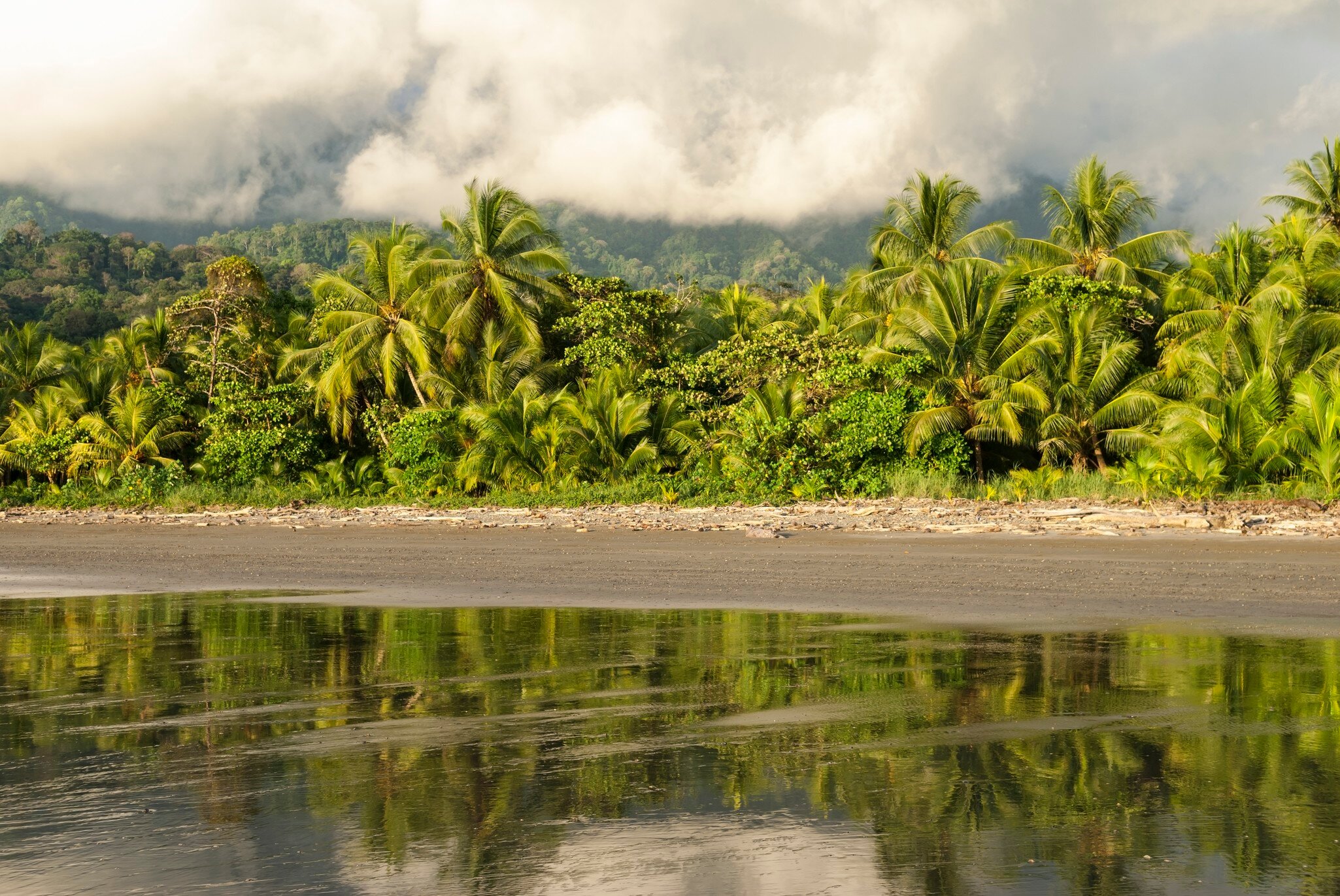 Tropical coastal scene at Playa Ventanas near Uvita, Costa Rica.