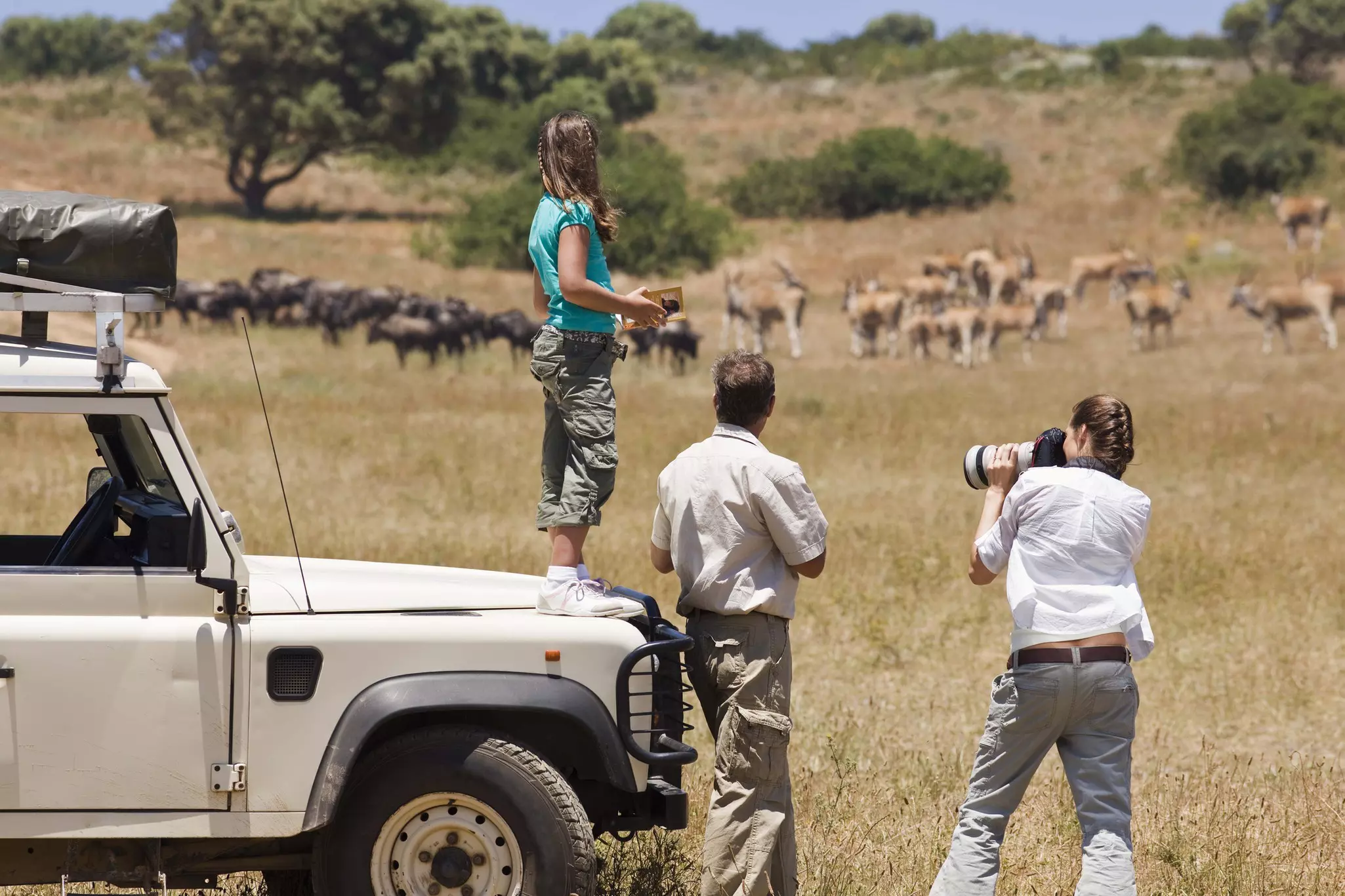 It's likely that a safari experience in South Africa will appeal to most of the family © Jupiterimages / Getty Images