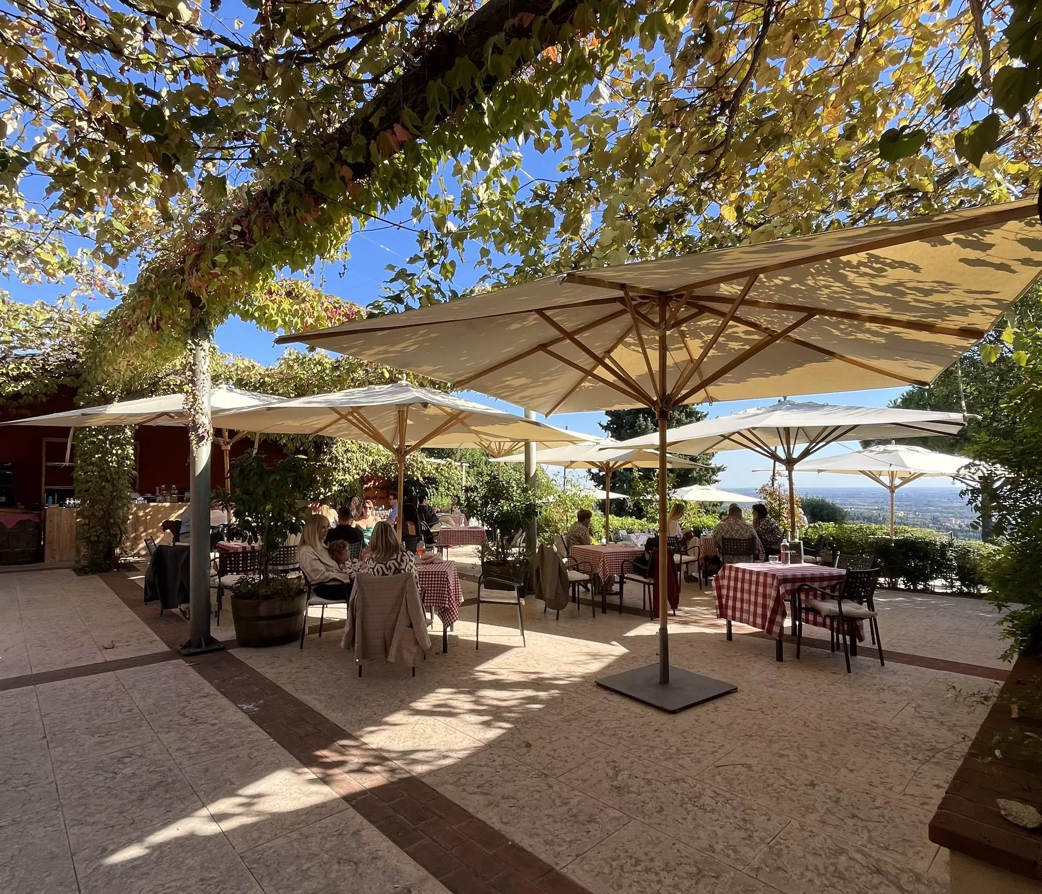 Earn your lunch-with-a-view by walking the hills outside Verona to the Corte San Mattia agriturismo. Tasmin Waby/Lonely Planet