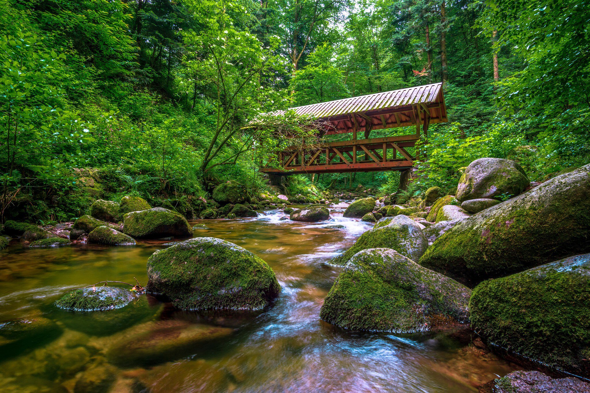 Geroldsau Waterfall in Black Forest, Germany.