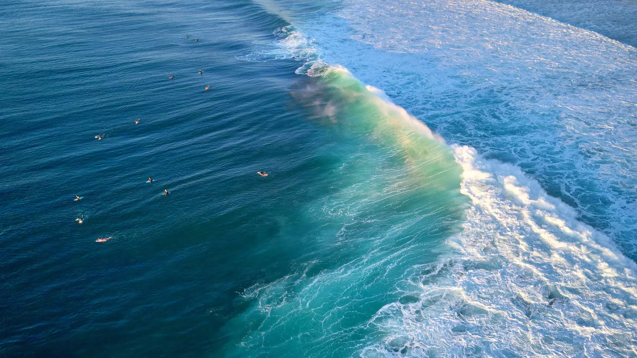 Surfers with boards waiting to catch large crashing foam-topped waves