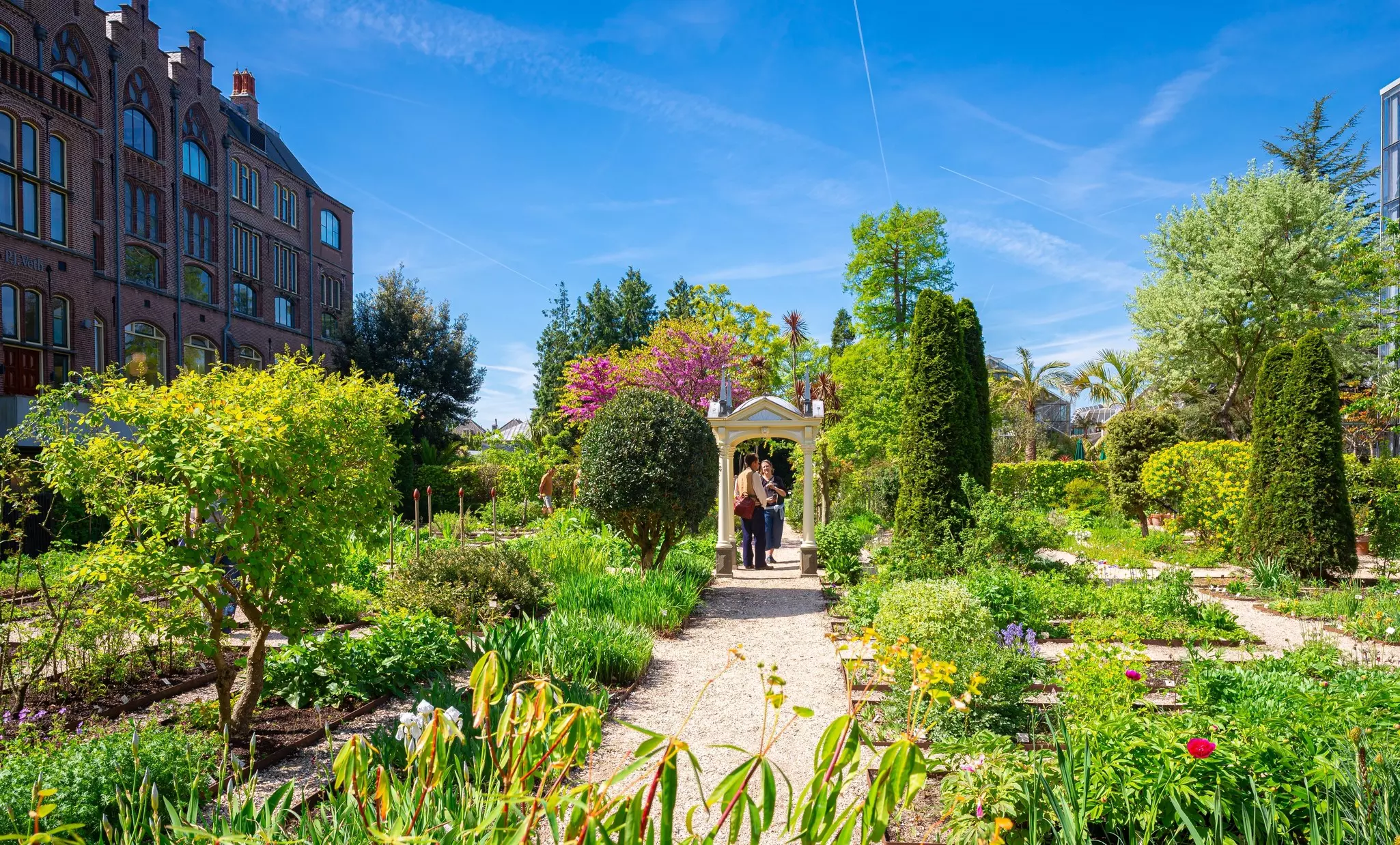 Plants in a garden glowing green in the sunshine. Tourists stand on the paths between the flower beds and plants.