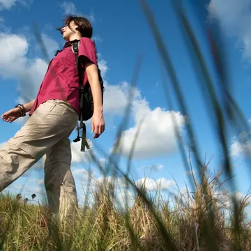 Choose the best hiking route for you with this guide to trails in Everglades National Park © Corey Rich / Getty Images