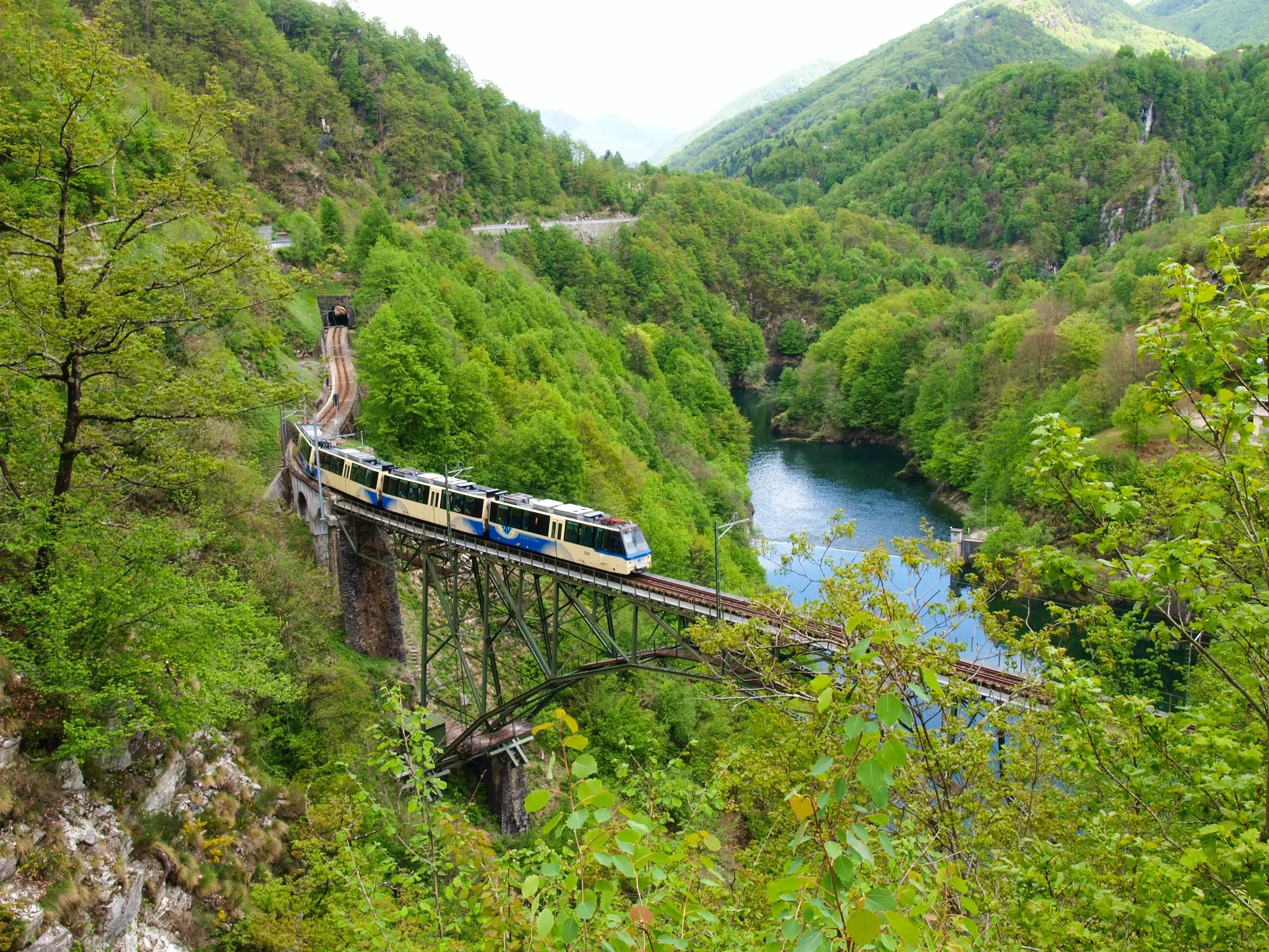 Take a slower train such as the Treno Gottardo for panoromic views of Ticino and the Swiss Alps © Mor65_Mauro Piccardi / Shutterstock