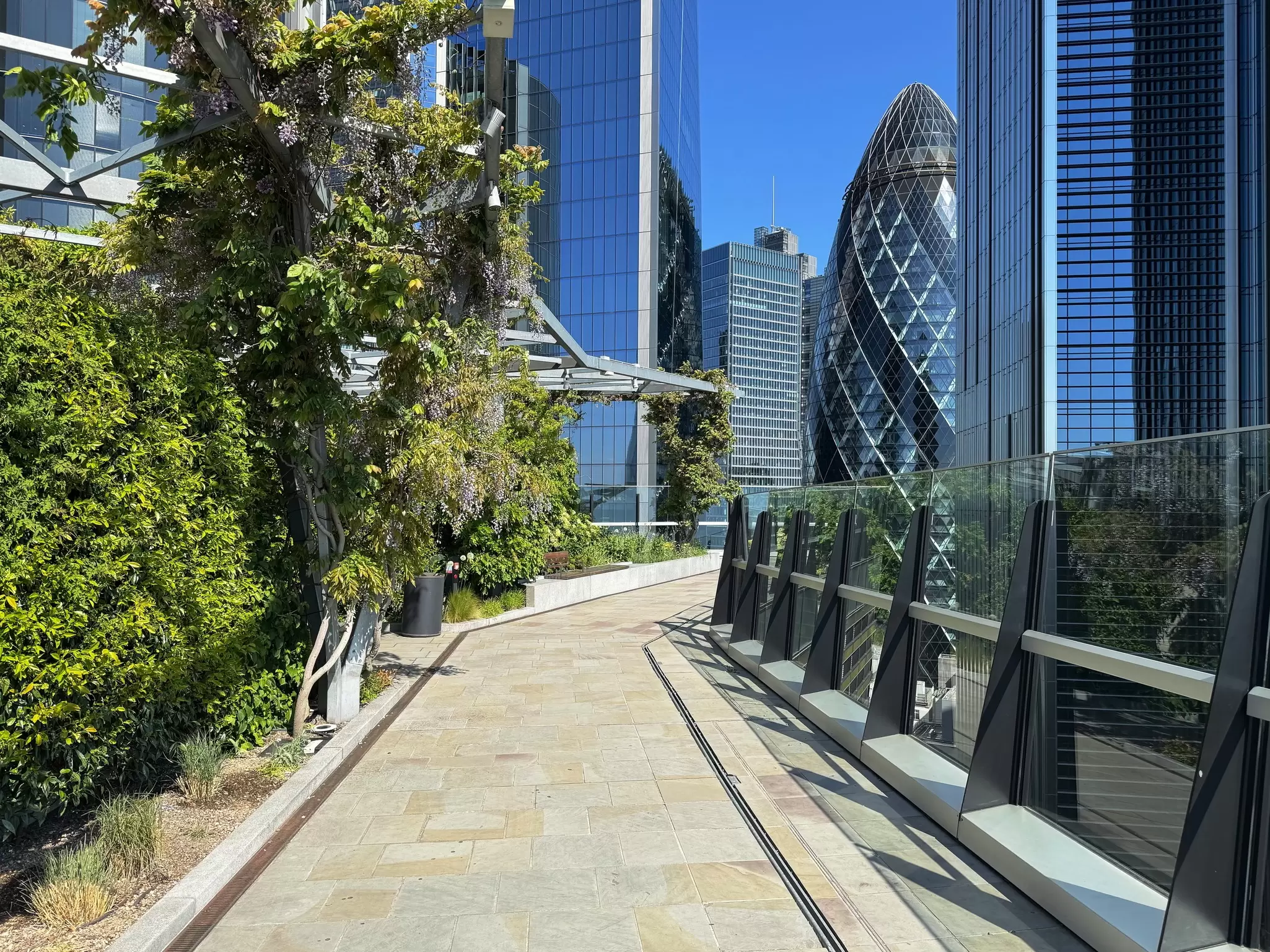 A pathway through a rooftop garden with views of nearby skyscrapers: the Garden at 120 in London.
