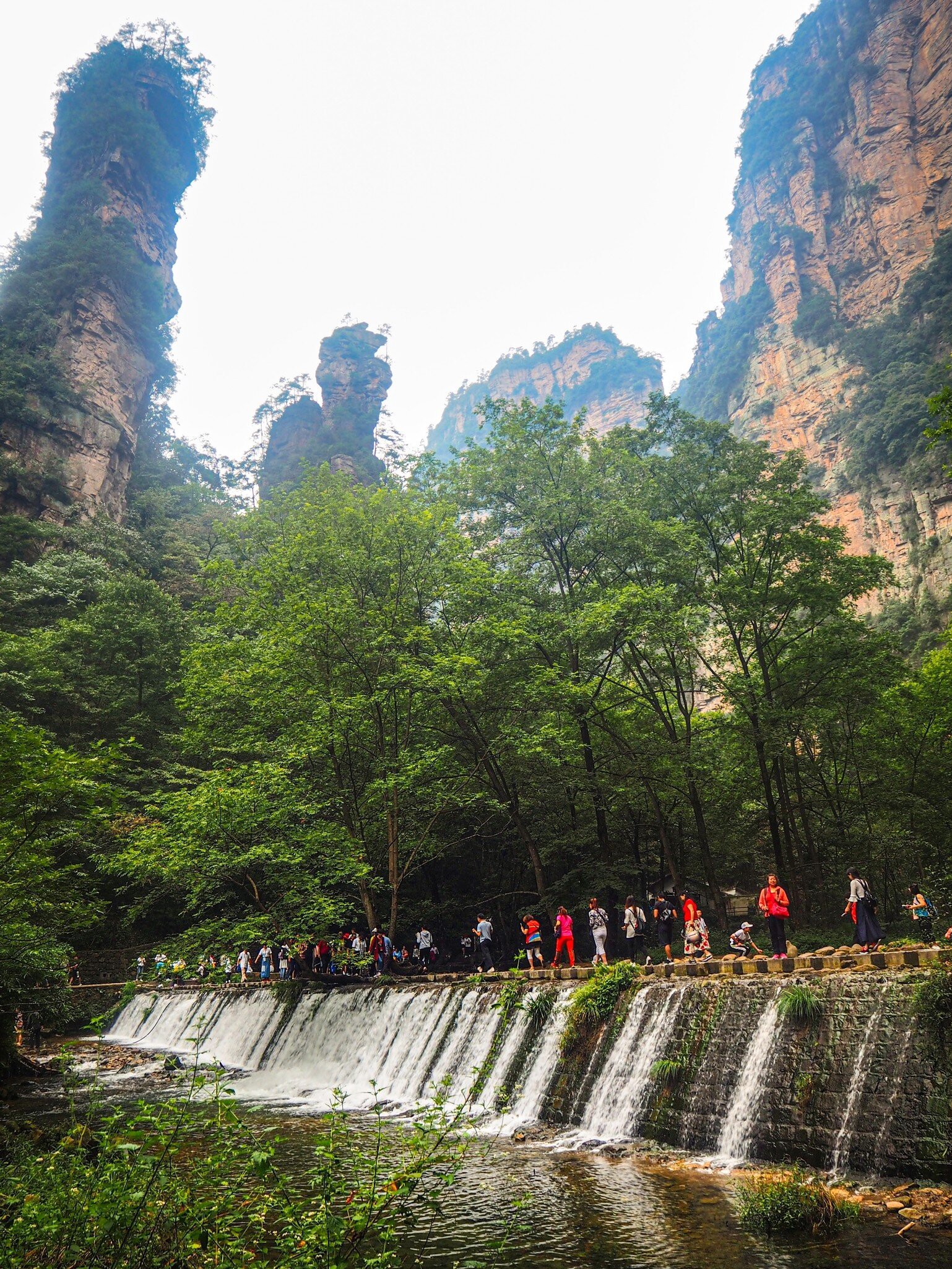 People walking along tree lined stream