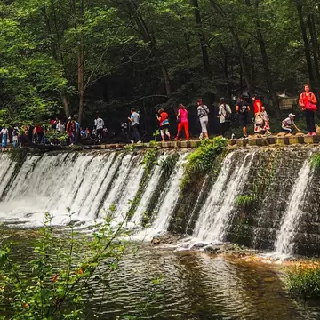 People walking along tree lined stream