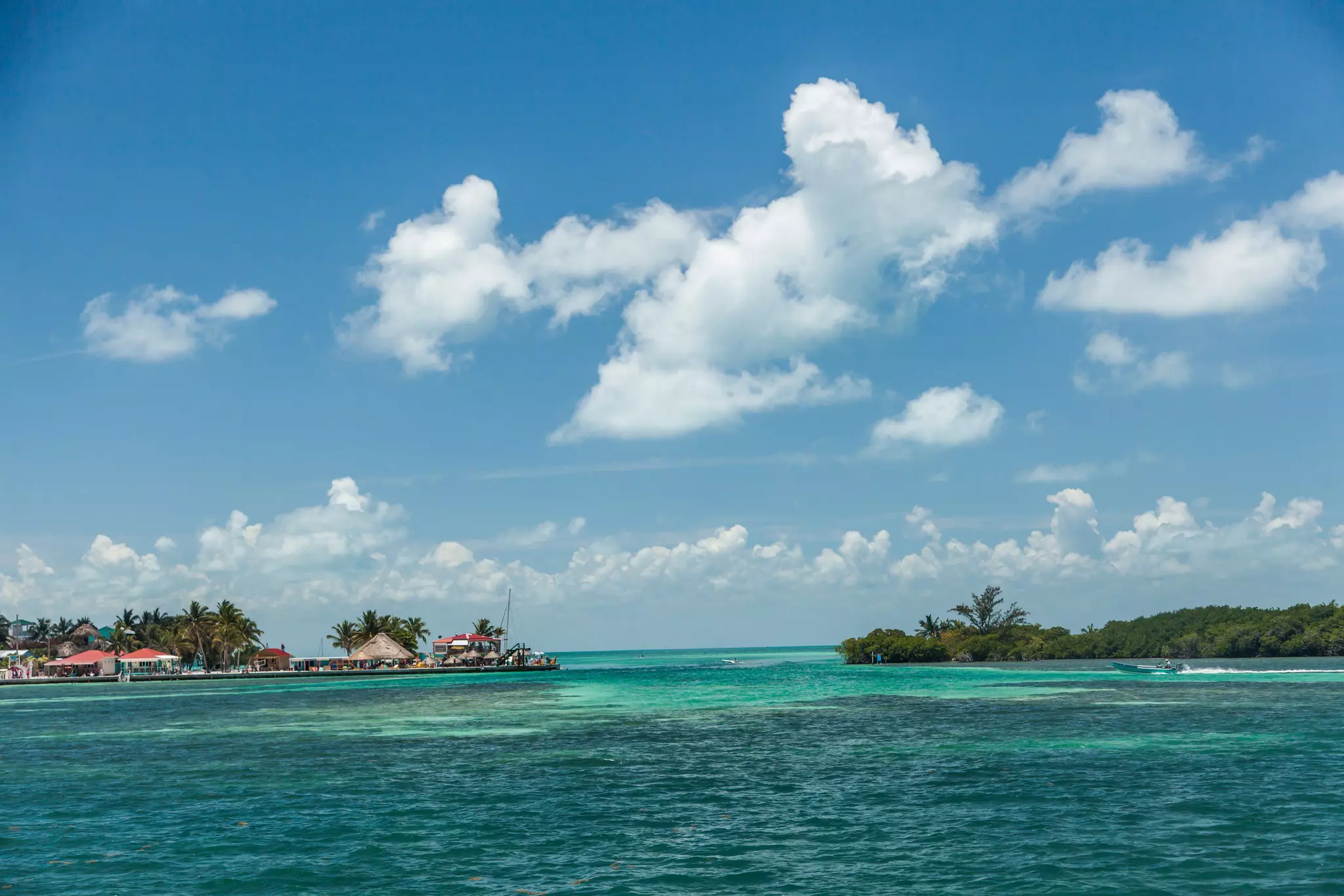 A small motorboat approaches land covered in palm trees and small wooden buildings.