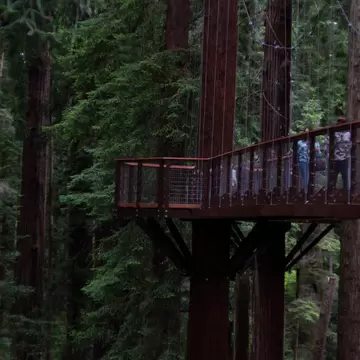 Eureka, CA, USA - June 13, 2021: Tourist walk across a bridge on the new Redwood Sky Walk in the Sequoia Park Zoo.; Shutterstock ID 1994855477;