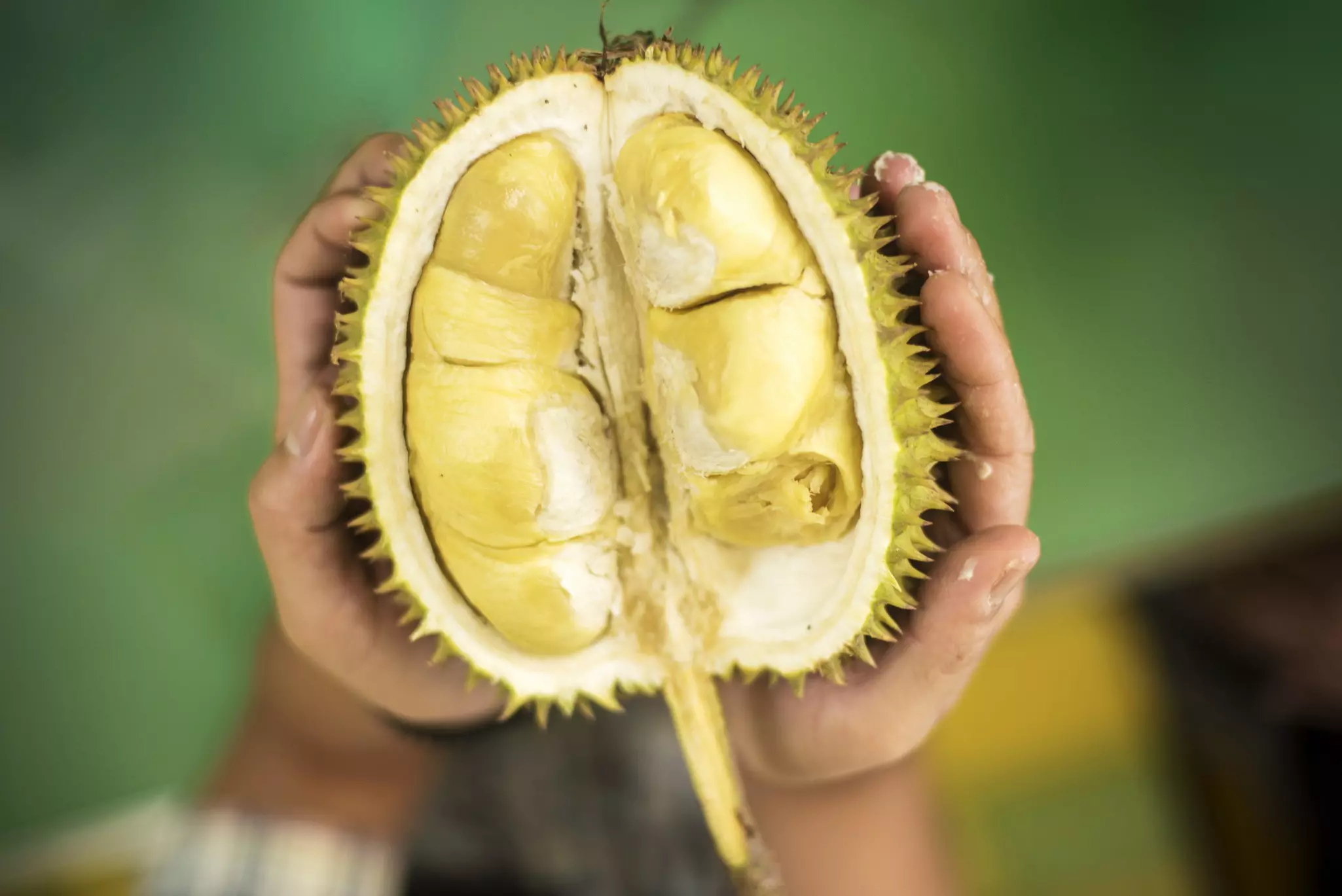 Hellish smell, heavenly taste: don't miss the flavors of a durian © Yasser Chalid / Getty Images