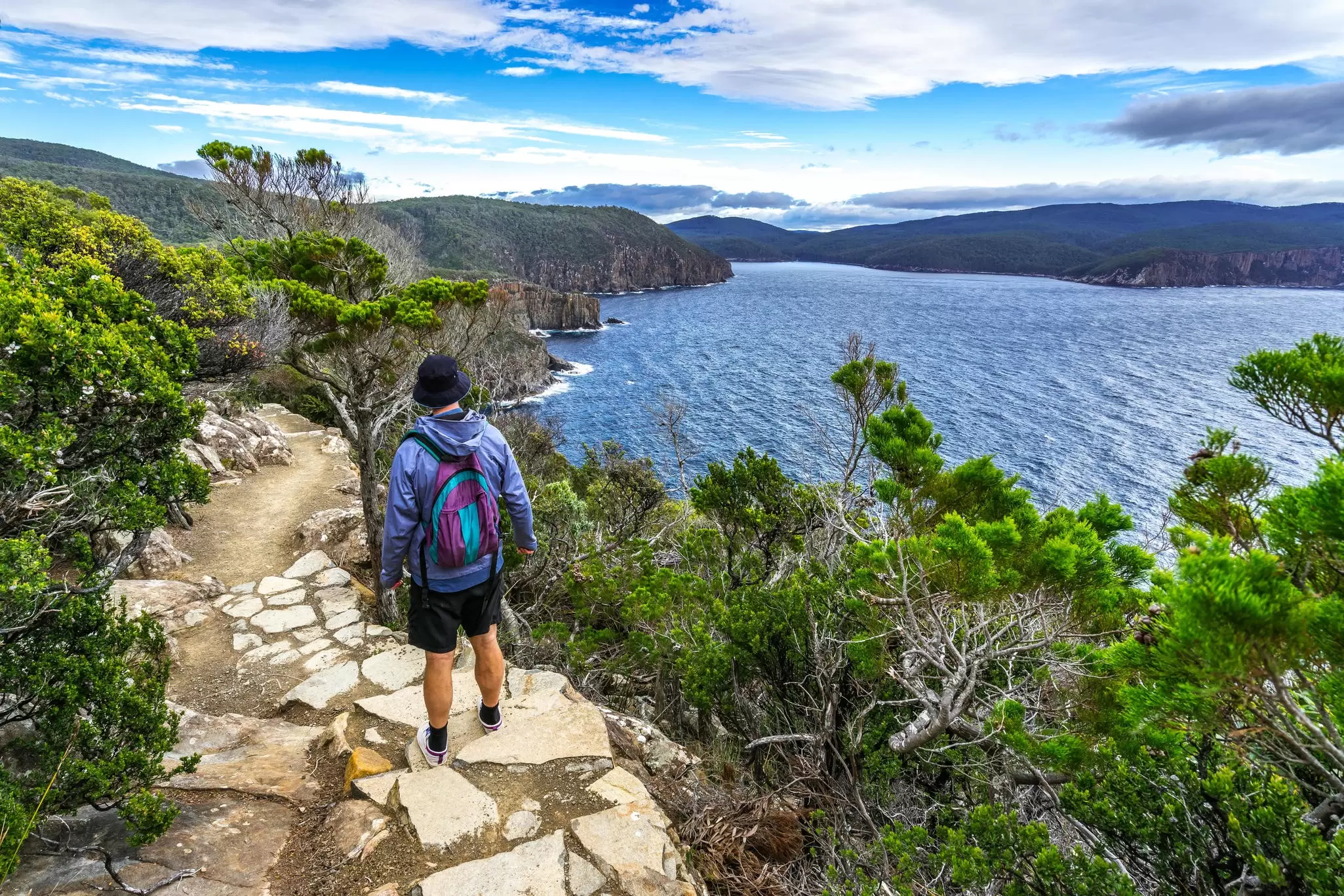 A natural landscape in Tasmania, Australia