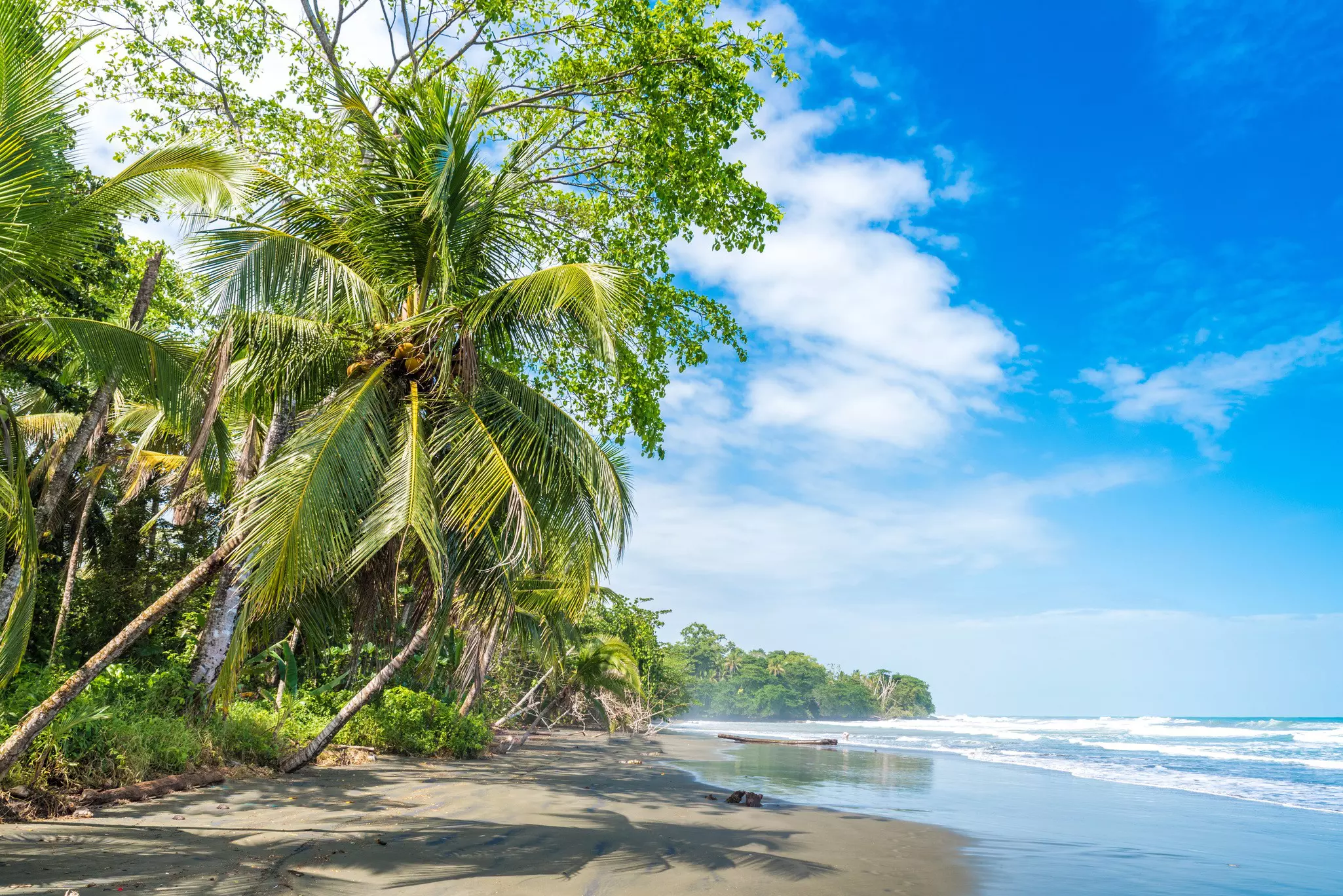Playa Negra at the black beach at Cahuita on the Caribbean coast.
645083716
america, background, bay, beach, beautiful, black, blue, cahuita, calm, caribbean, central, coast, coastline, coconut, costa, exotic, holiday, idyllic, island, landscape, national, nature, negra, nobody, ocean, outdoor, palm, paradise, park, peaceful, playa, relax, rica, sand, scenery, scenic, sea, shore, sky, summer, sun, sunny, tourism, tranquil, travel, tree, tropical, vacation, water, wild