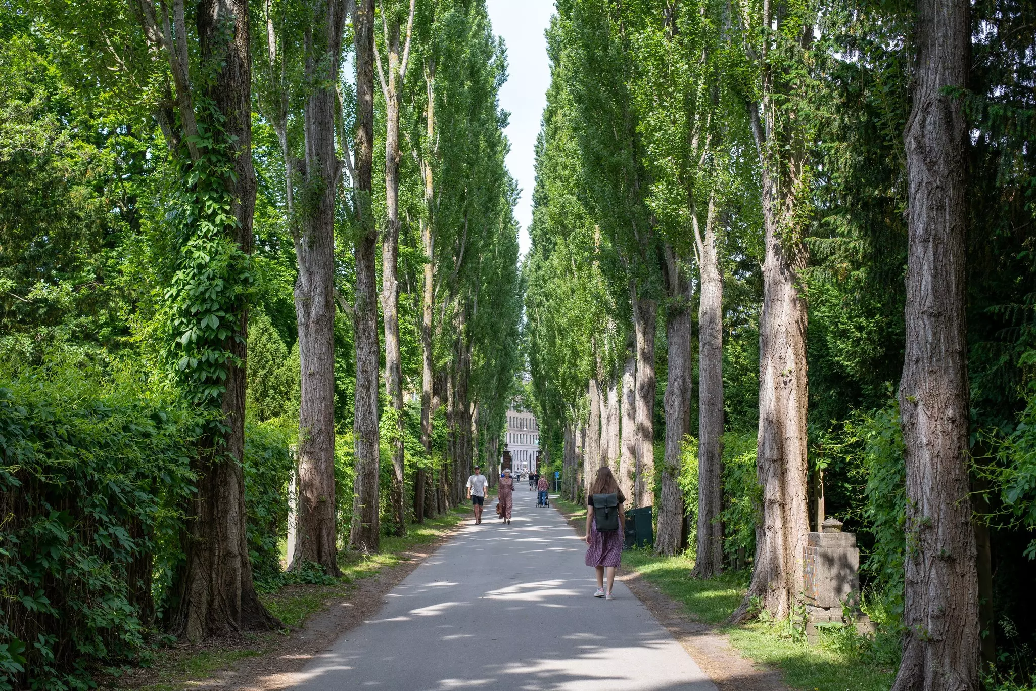 People walking through a tree-lined path in Copenhagen, Denmark