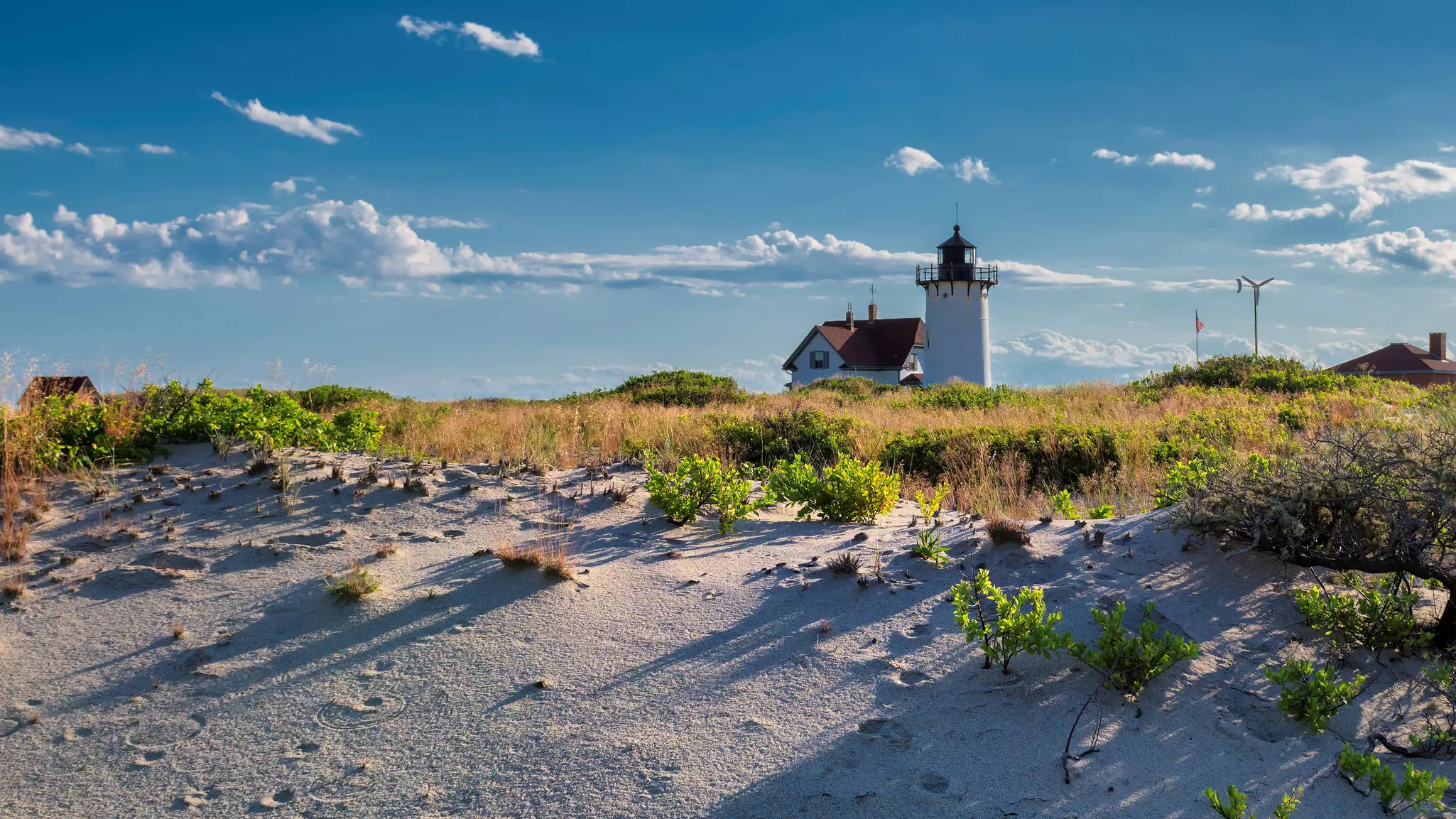 Sandy and grassy beach dunes with a lighthouse in the distance on Cape Cod.