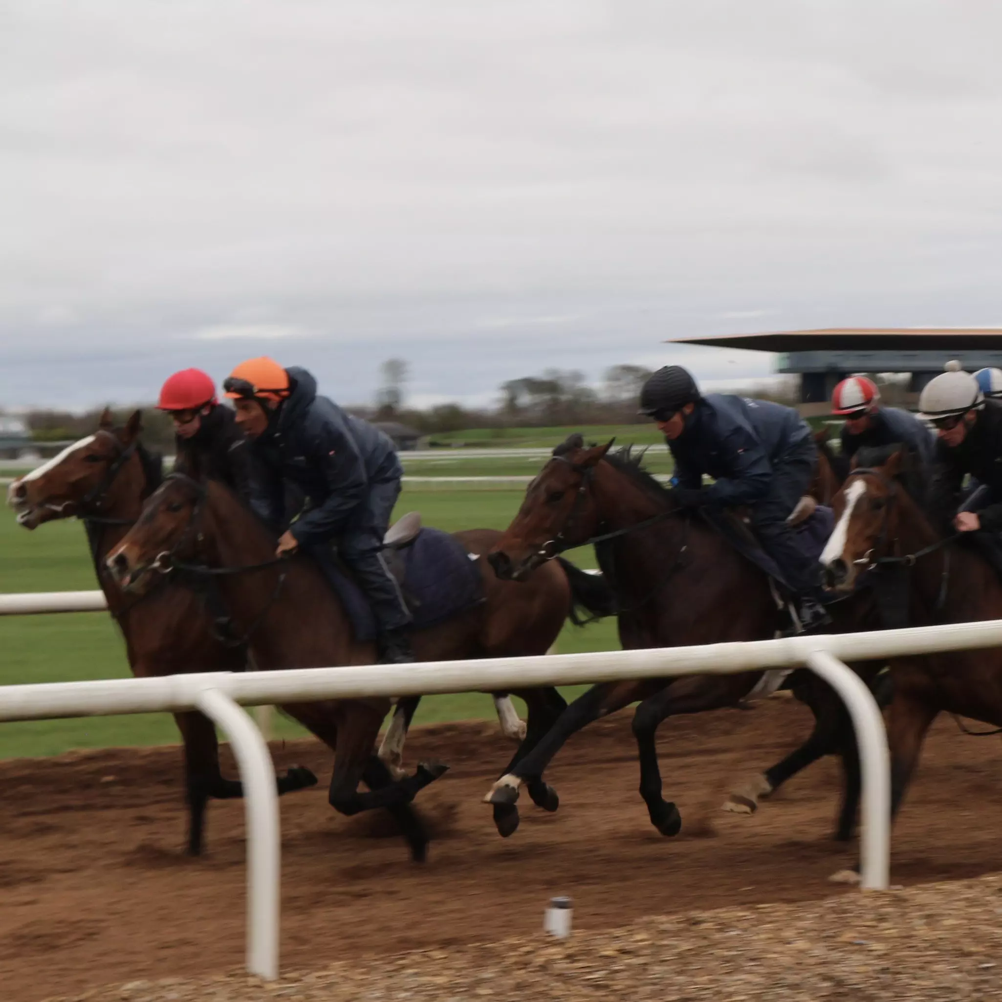 Horse racing on the Curraugh in Kildare, Ireland © Brekke Fletcher / Lonely Planet