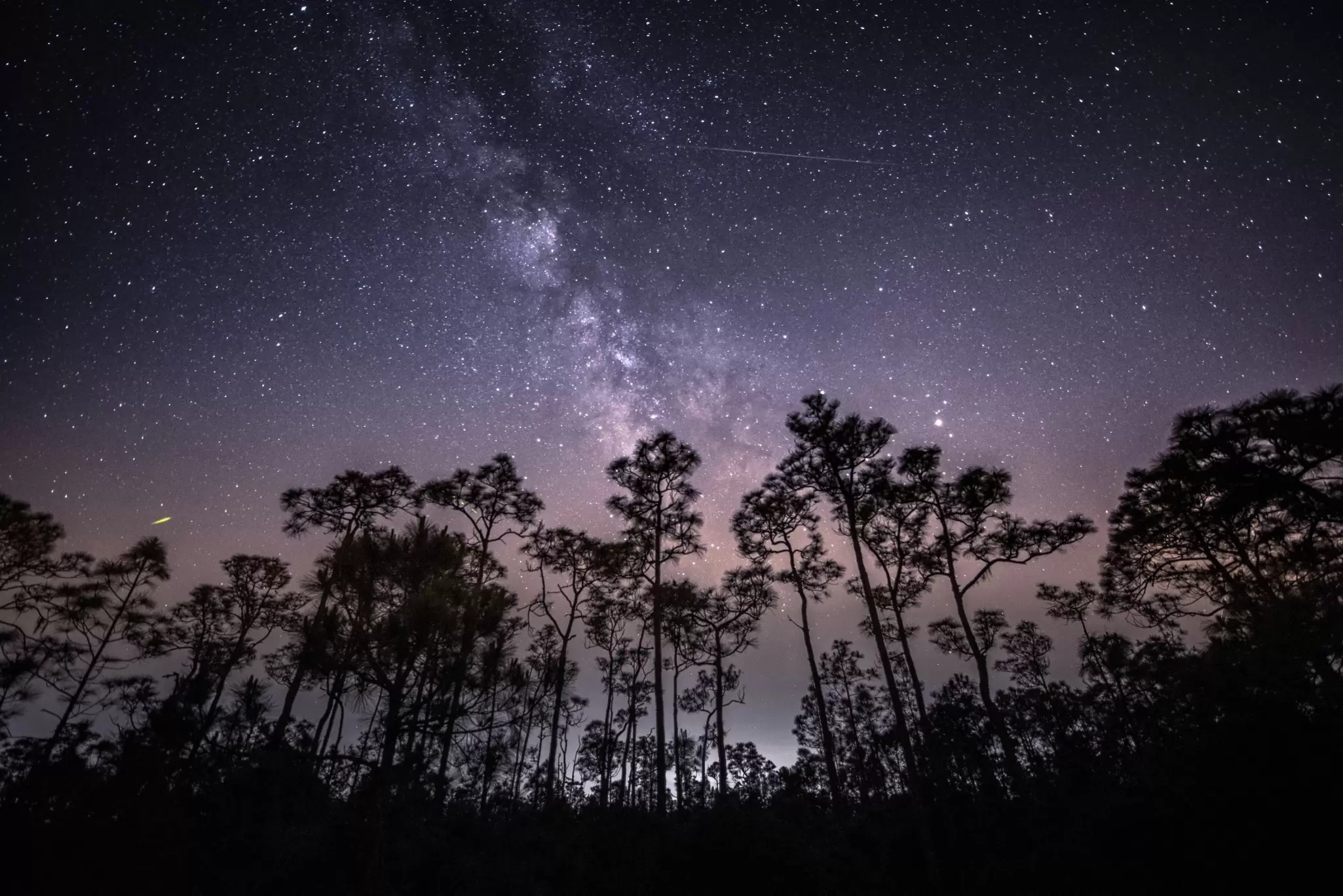 The Delta Aquariid meteor shower streaking across the night sky
