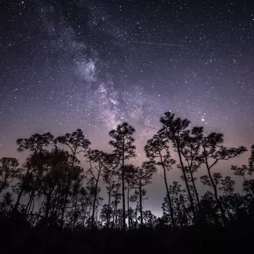 Delta Aquarid meteor shower.jpg