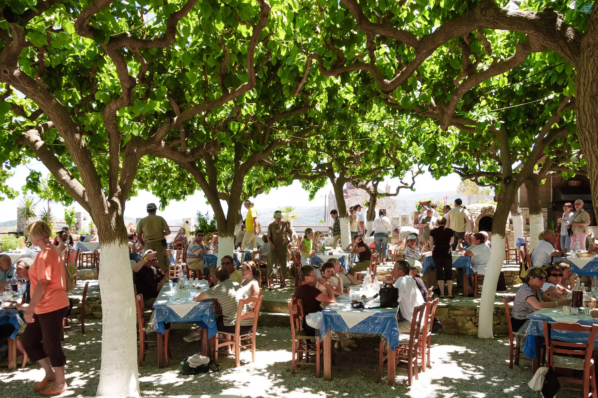 Tourists at a wine degustation on restaurant in front of Panagia orthodox church in Crete island under shaded trees