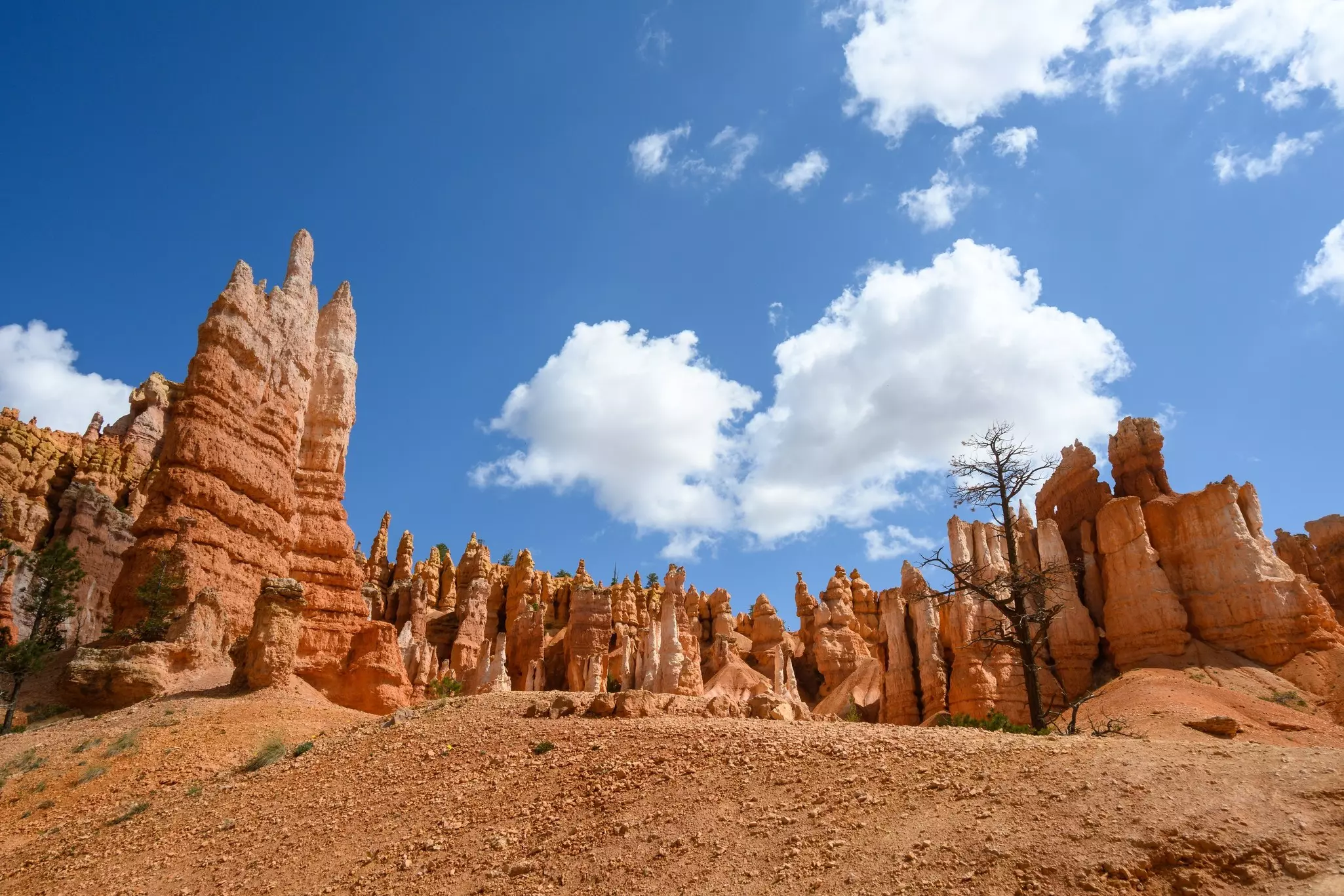 Hiking in Bryce Canyon