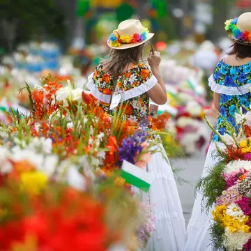 MedellÃ­n, Antioquia/Colombia; july 23 2019; The Feria de las Flores , it is the largest celebration in Medellin. The Silleteros walk the city with their flower arrangements on their back.  License Type: media  Download Time: 2021-10-05T12:22:52.000Z  User: AMccarthy_lonelyplanet  Is Editorial: Yes  purchase_order:   