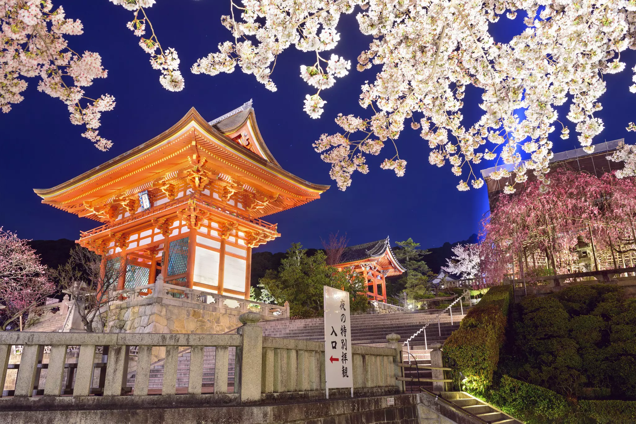 Kiyomizu-dera in the spring time. Sean Pavone/Shutterstock