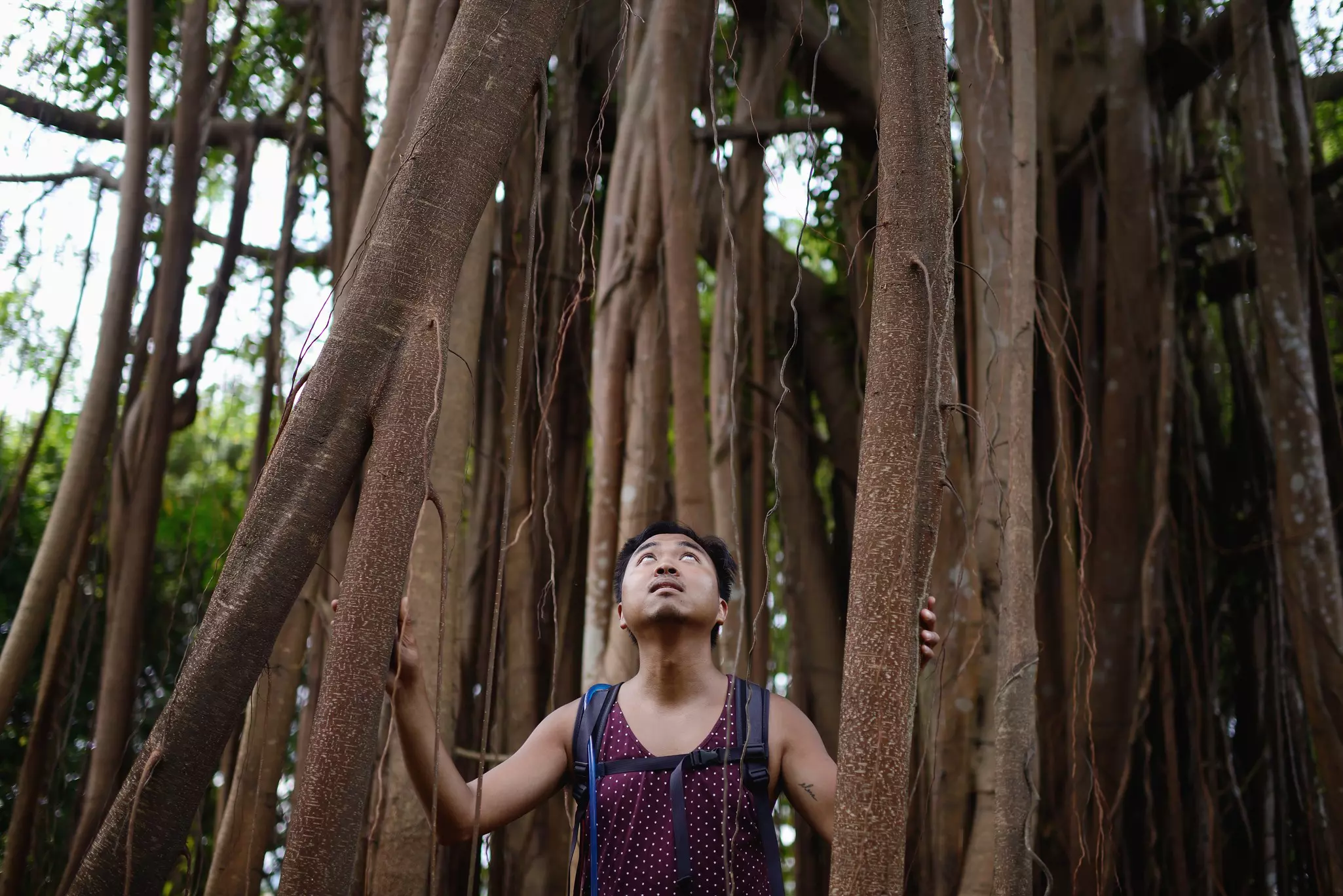 Get away from it all by exploring the wetlands of Pulau Ubin © Carlina Teteris / Getty Images
