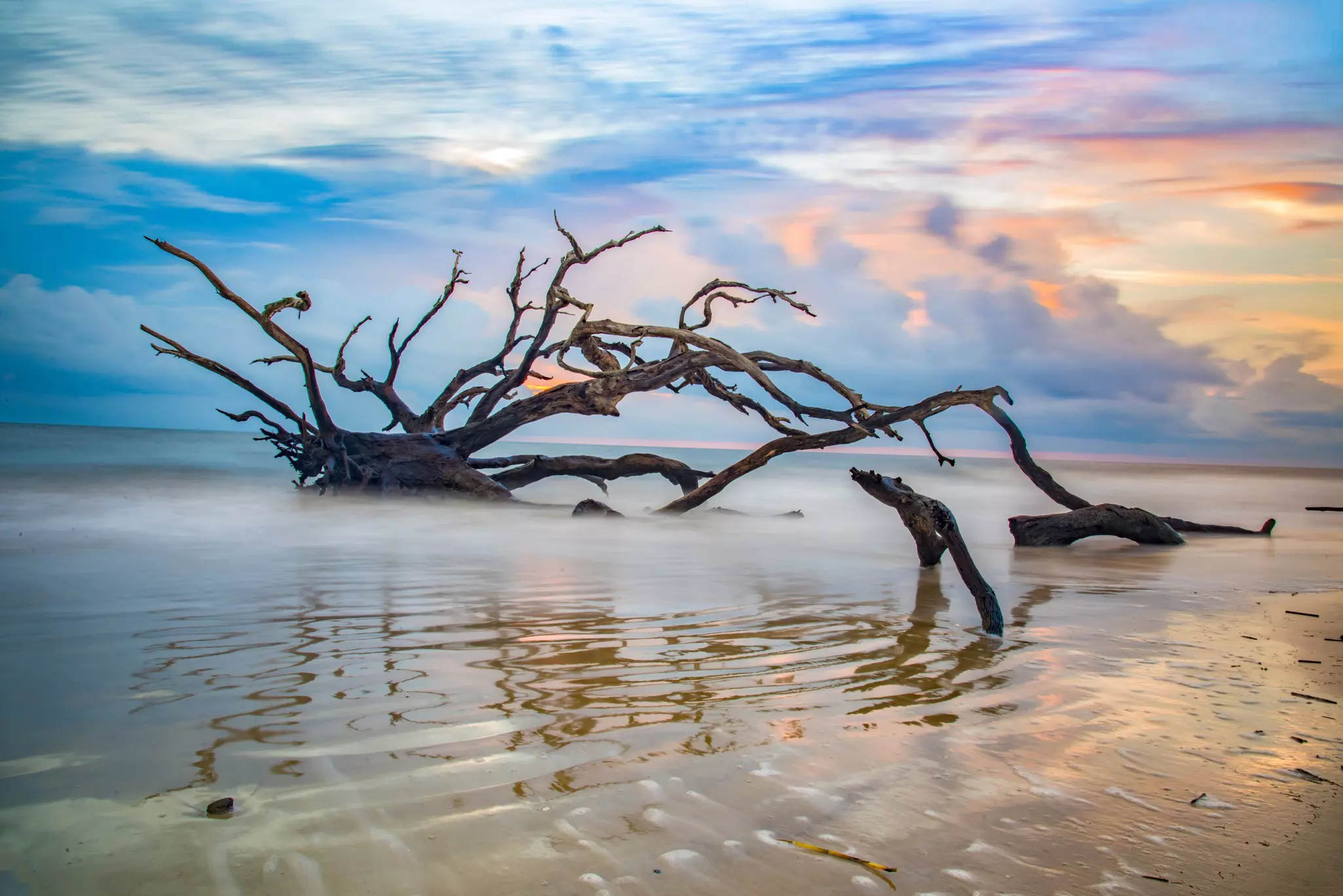 Image of large driftwood tree at low tide with muted but colorful sky in the background on Jekyll Island, Georgia.