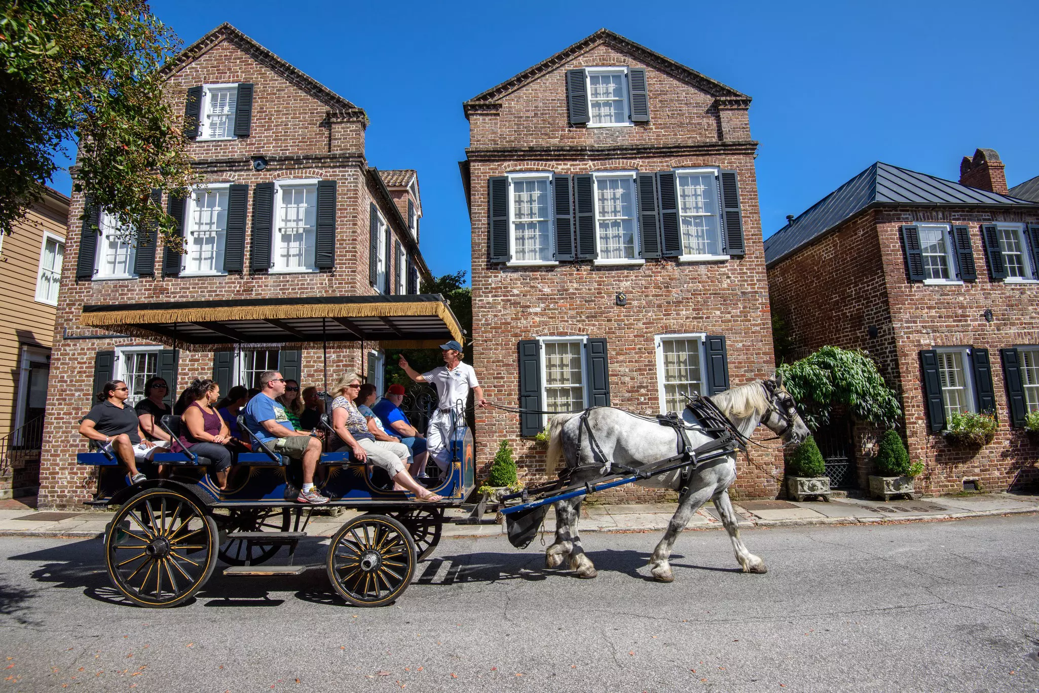 A carriage drawn by a white horse transports visitors in a city past historic brick buildings under a blue sky.