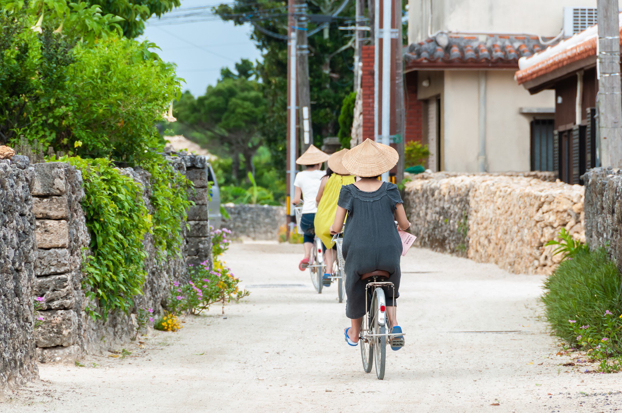 Three people riding bicycles, one after the other, strolling through the traditional village of Taketomi, wearing the traditional straw hat., License Type: media, Download Time: 2026-02-13T17:33:49.000Z, User: nic.dhoedt_lonelyplanet, Editorial: false, purchase_order: 56530 - Guidebooks, job: Global Publishing WIP, client: Lonely Planet Japan 19, other: Nicolas D'Hoedt
