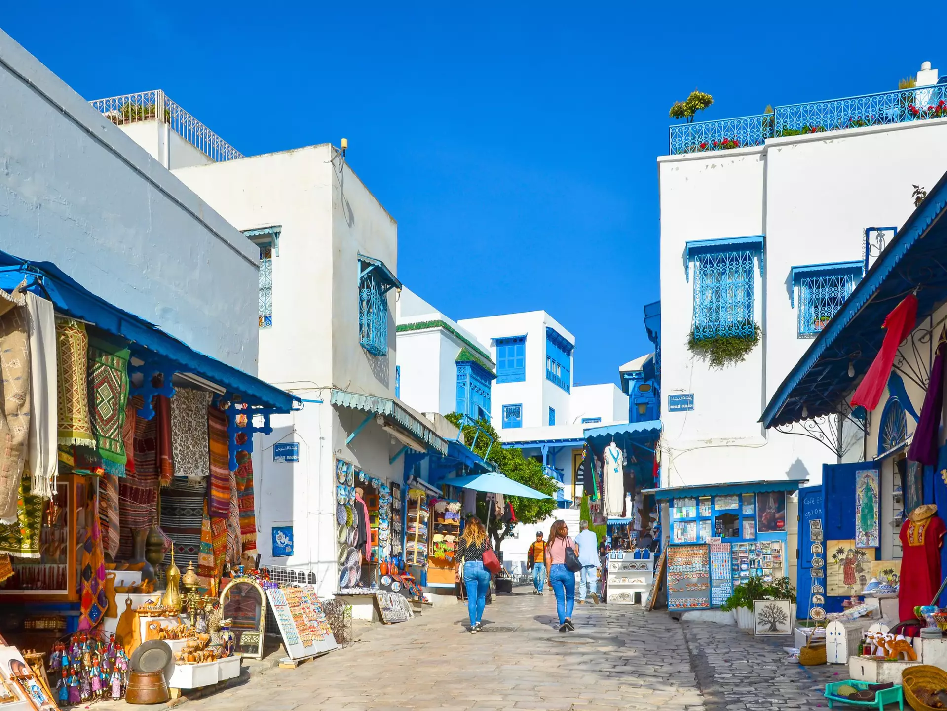White and blue houses in the village of Sidi Bou Said near Tunis, Tunisia.