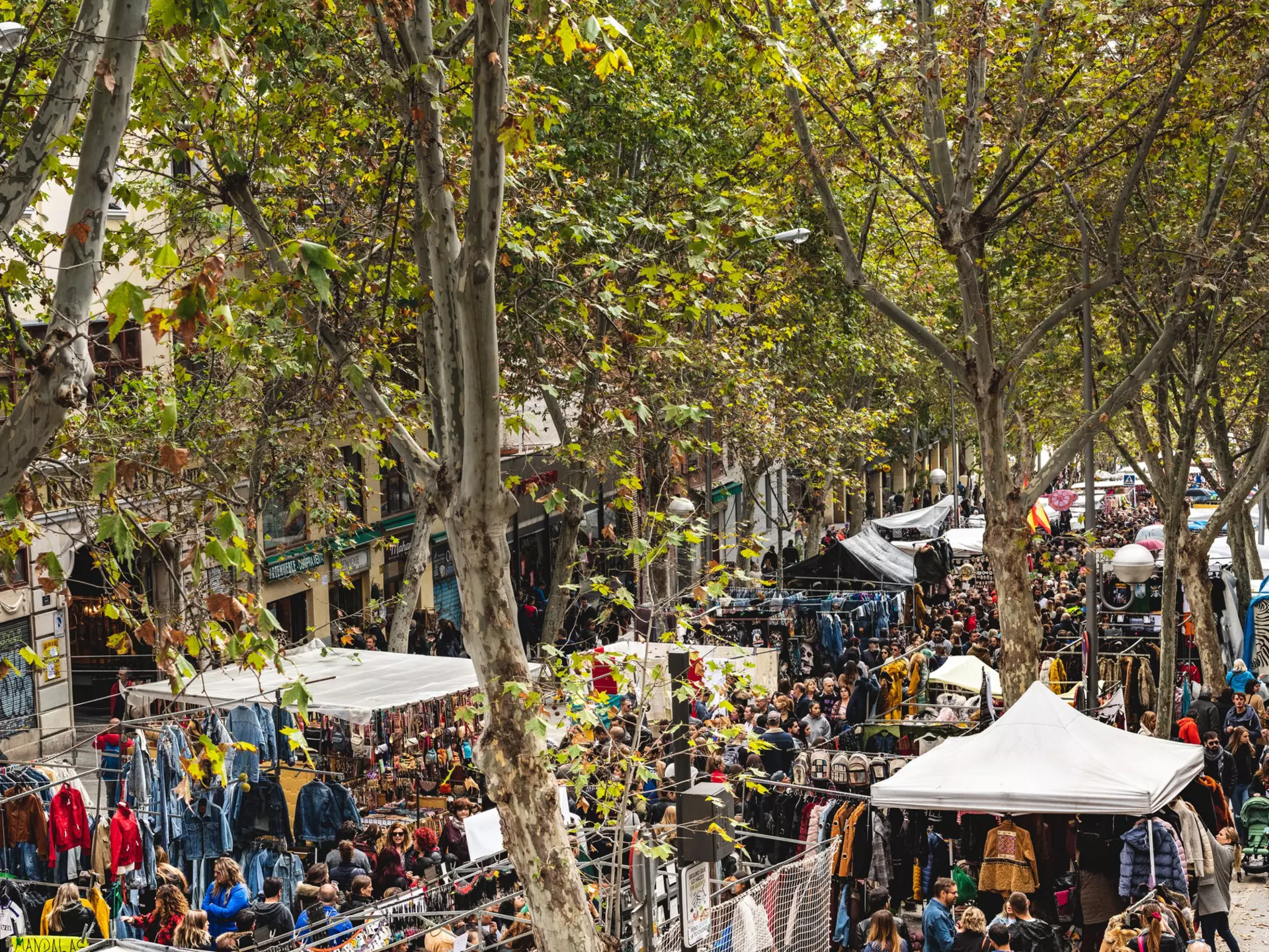 General view of the street full of people
1223052522