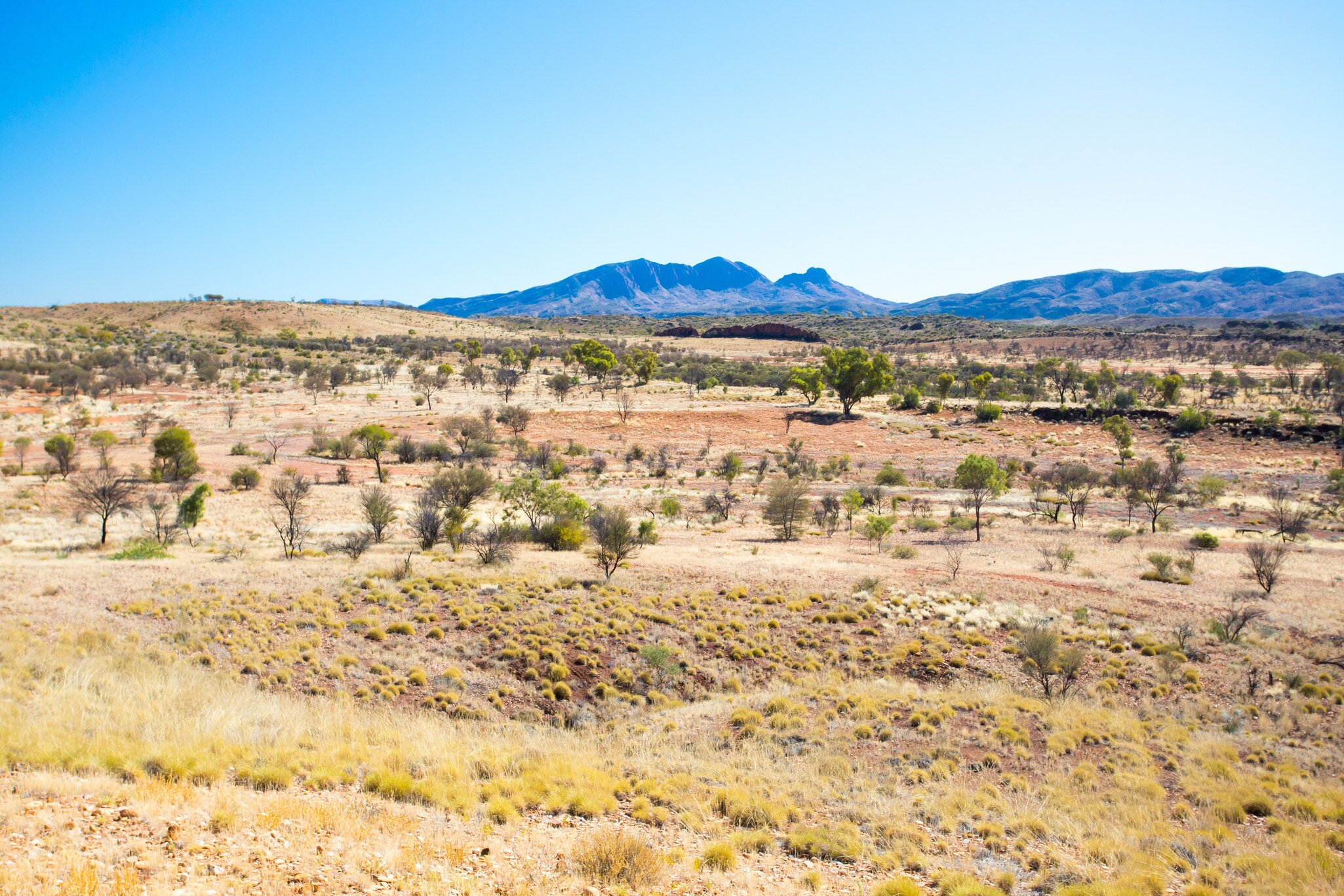 Mt Zeil and surrounding land at Mt Sonder lookout near Glen Helen in Northern Territory, Australia.