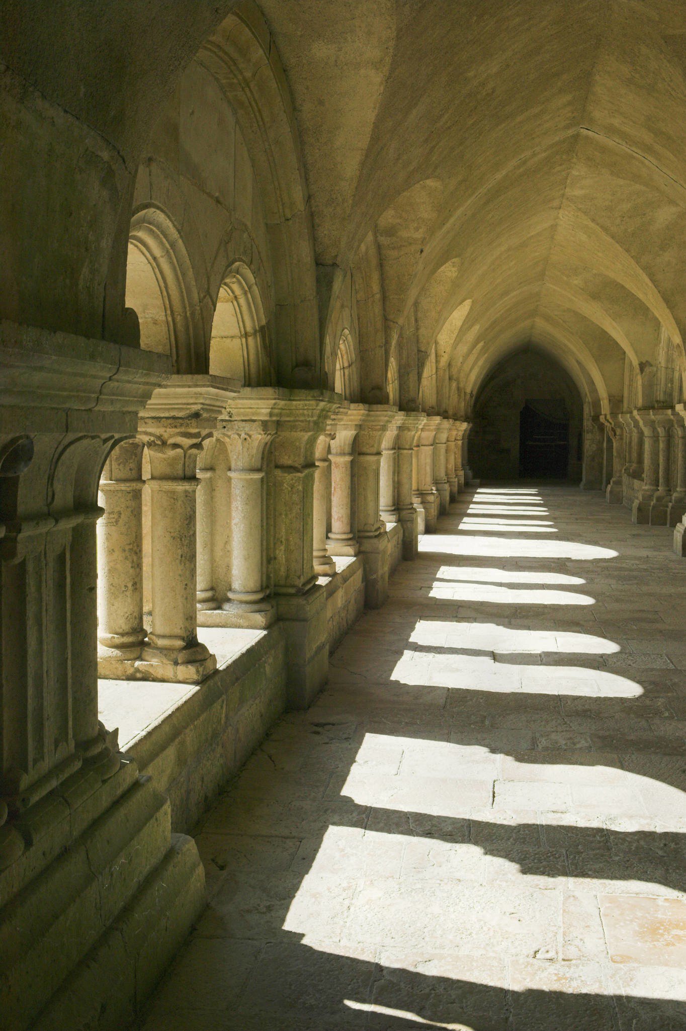 France, Burgundy, Fontenay Abbey cloister
