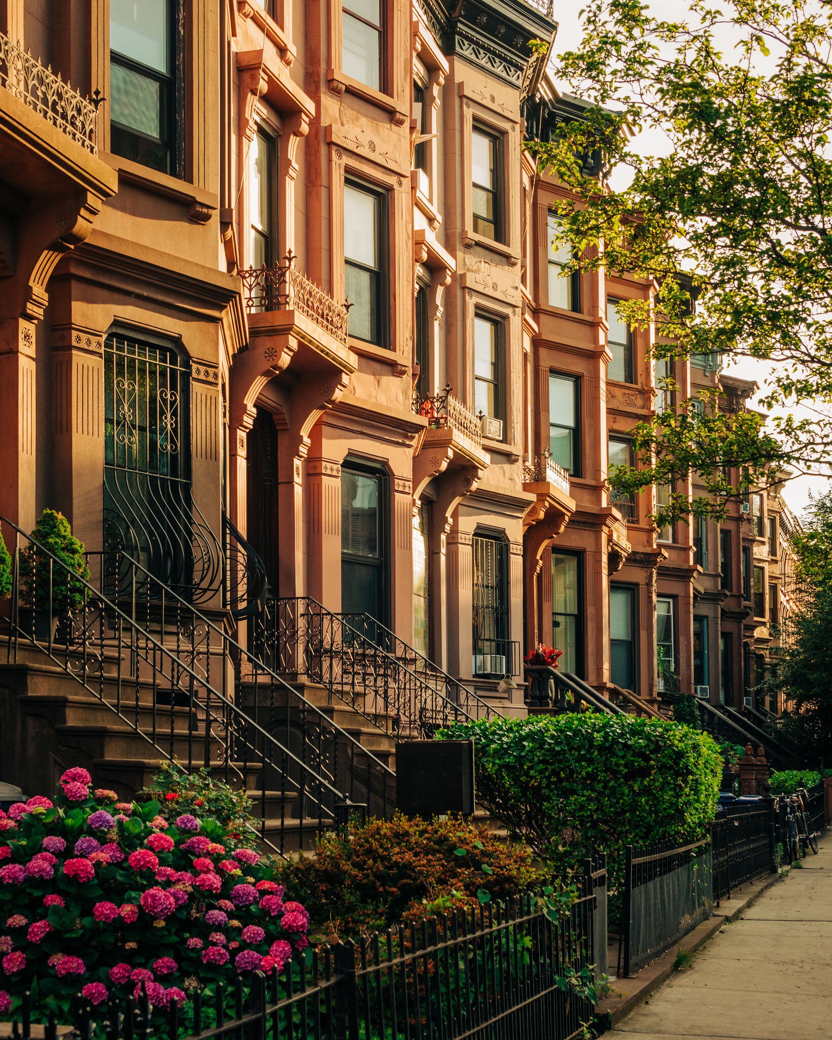 Brownstones in Bed-Stuy, New York City