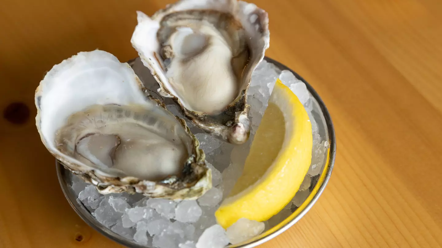 Close-up photo of Wellfleet oyster on the half shell
