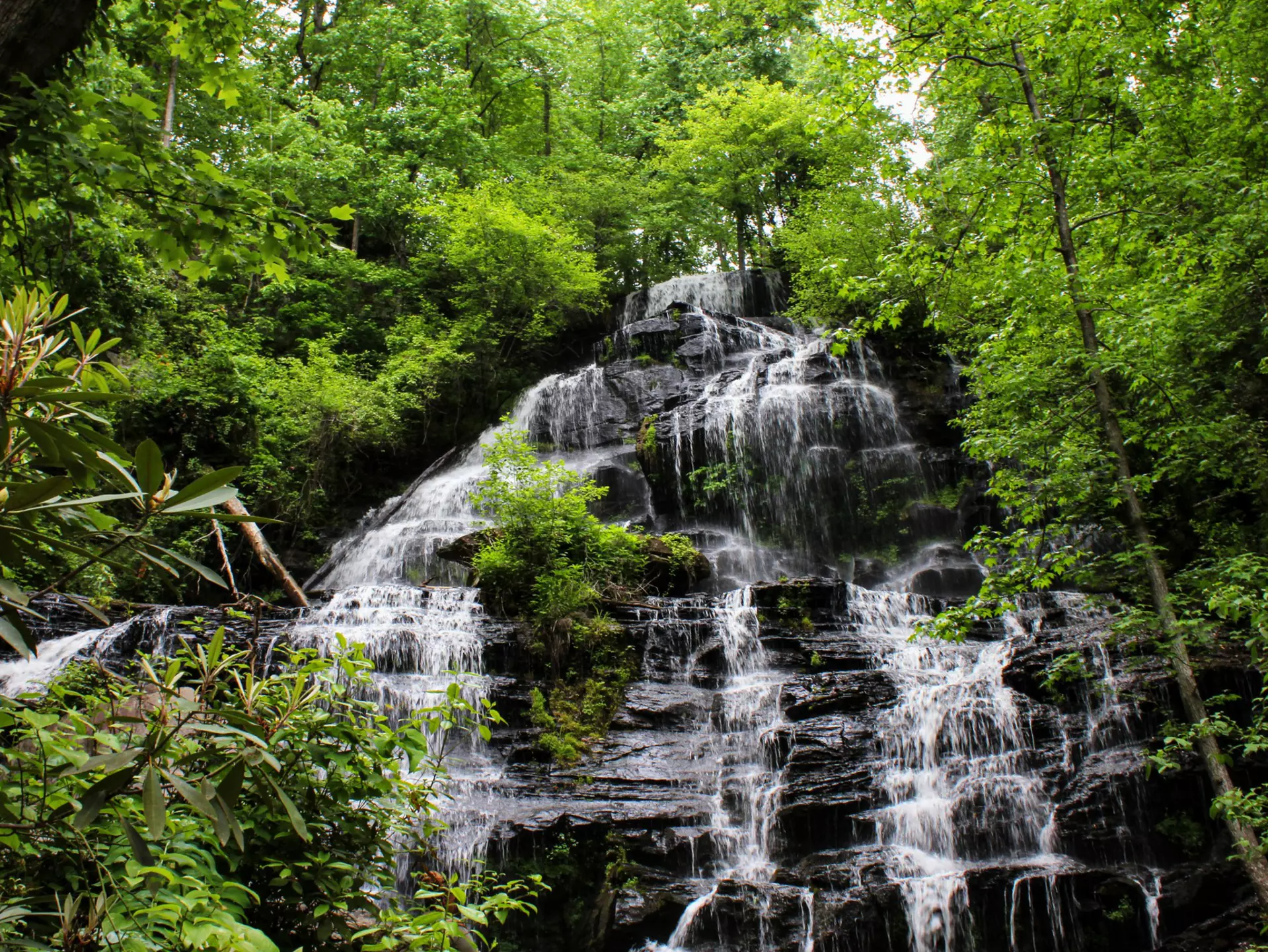 A rocky waterfall surrounded by green forest