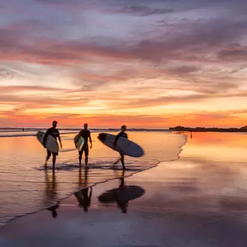 Surfers walk along a beach shore at sunset.
