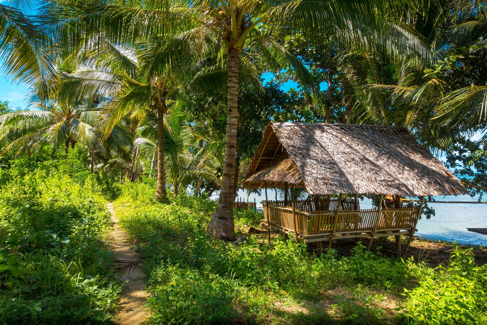A thatched-roof shack is pictured in a grove of palm trees near the sea in a tropical destination.