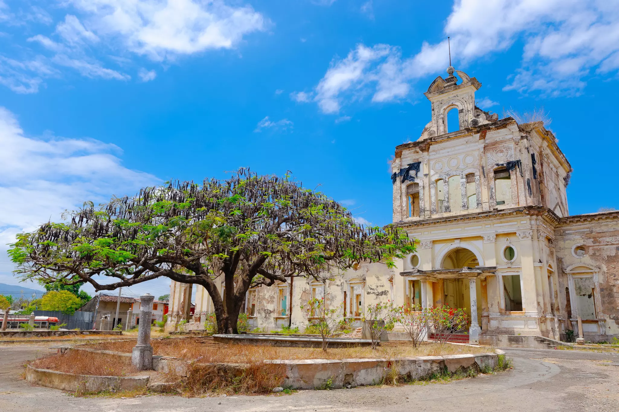 A tree with a large canopy stands outside an old ruined hospital building.