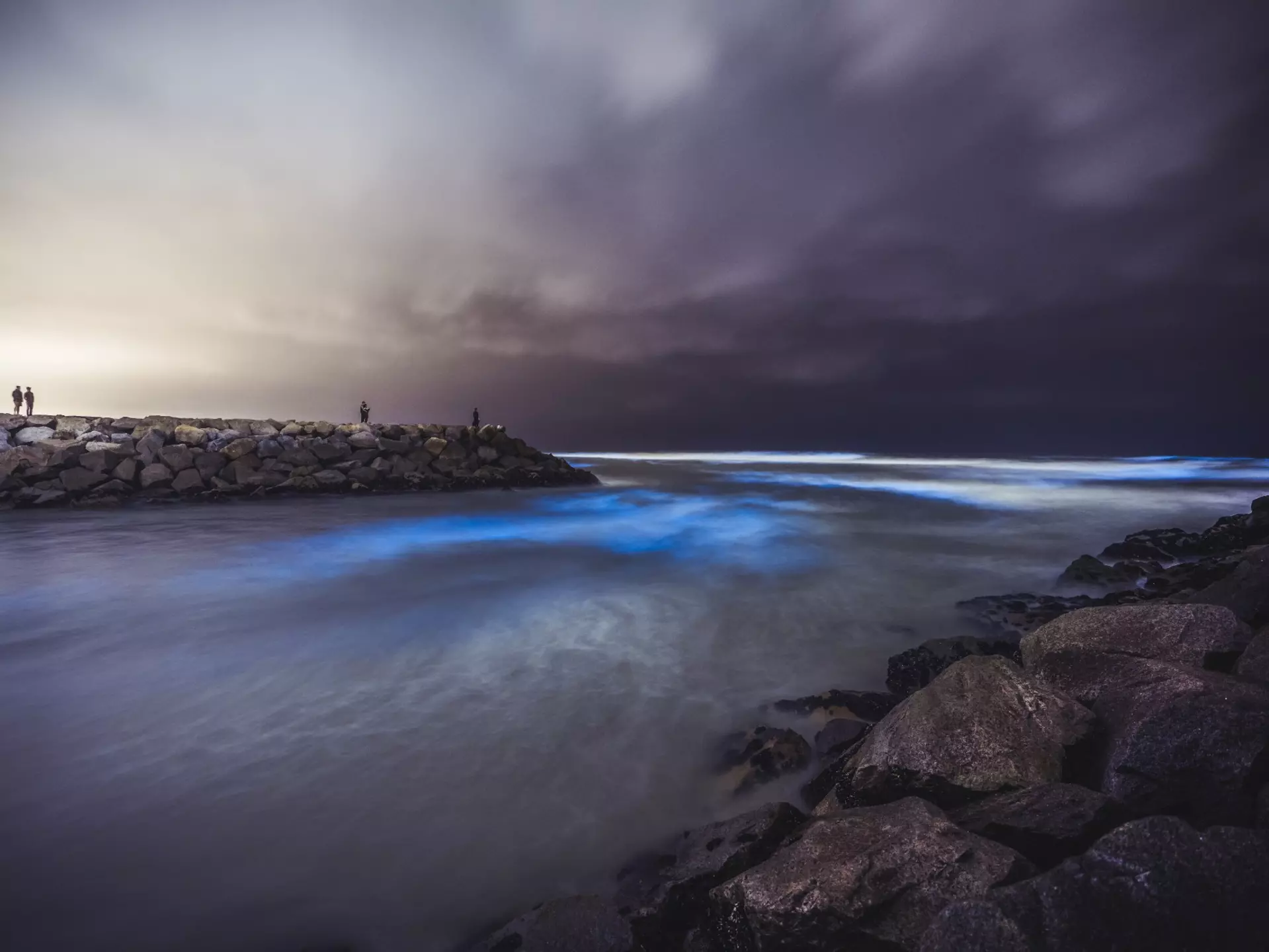 Bioluminescence in San Diego
bioluminescent, San Diego Waters, San Diego, shoreline