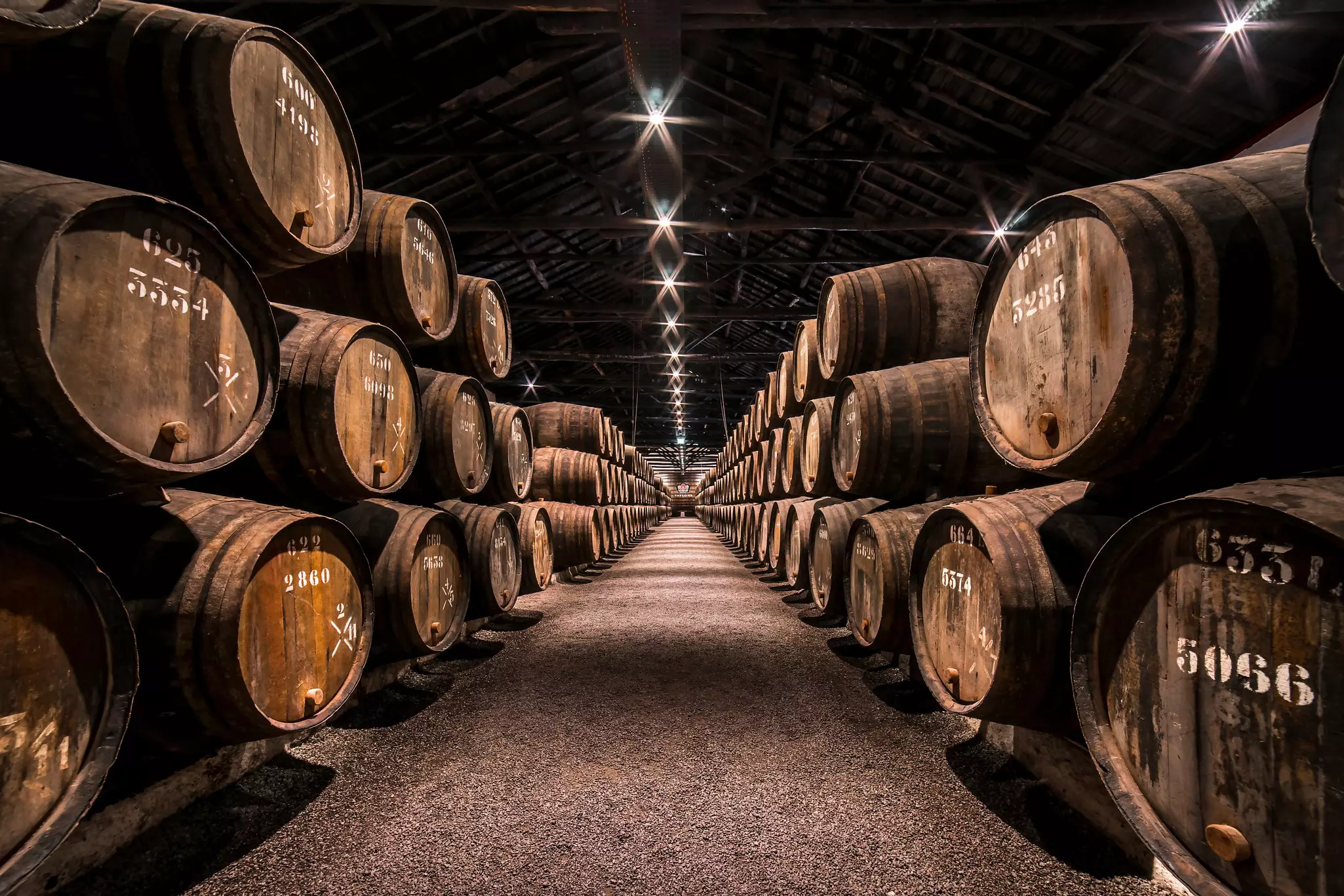 A long corridor in a cellar lined with large wooden barrels