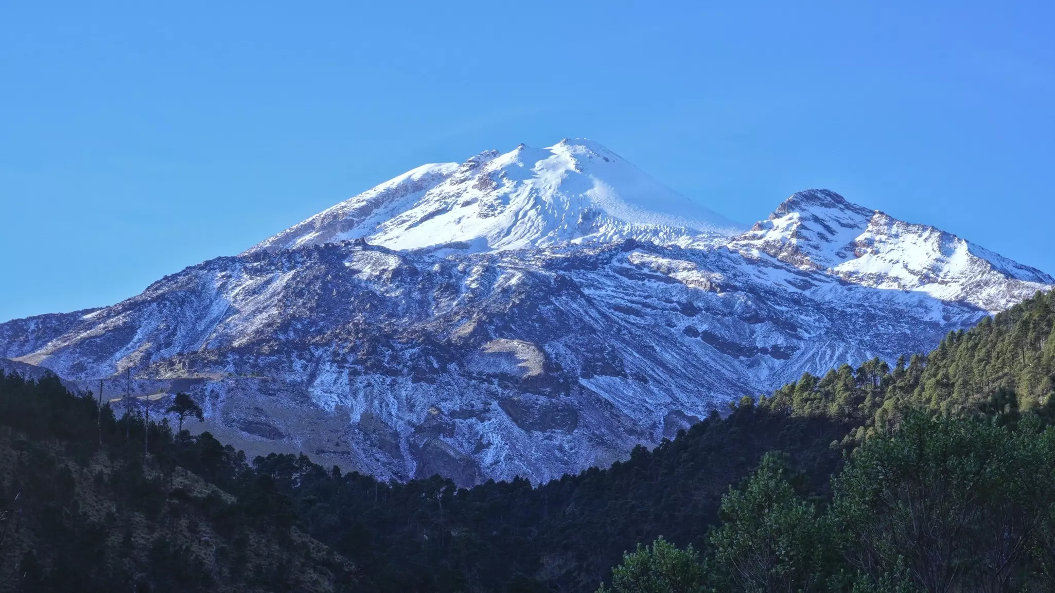 A high, snow-covered peak with forest in the foreground on a sunny day.