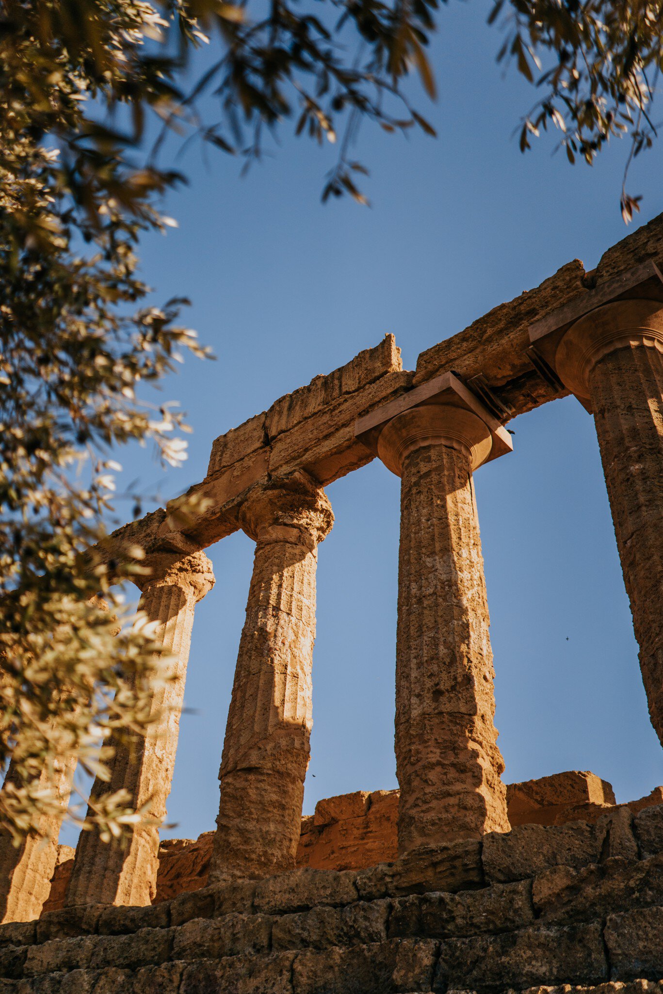 Weathered golden Doric columns of a Greek temple in Agrigento, Sicily, seen from below against blue sky under olive leaves.