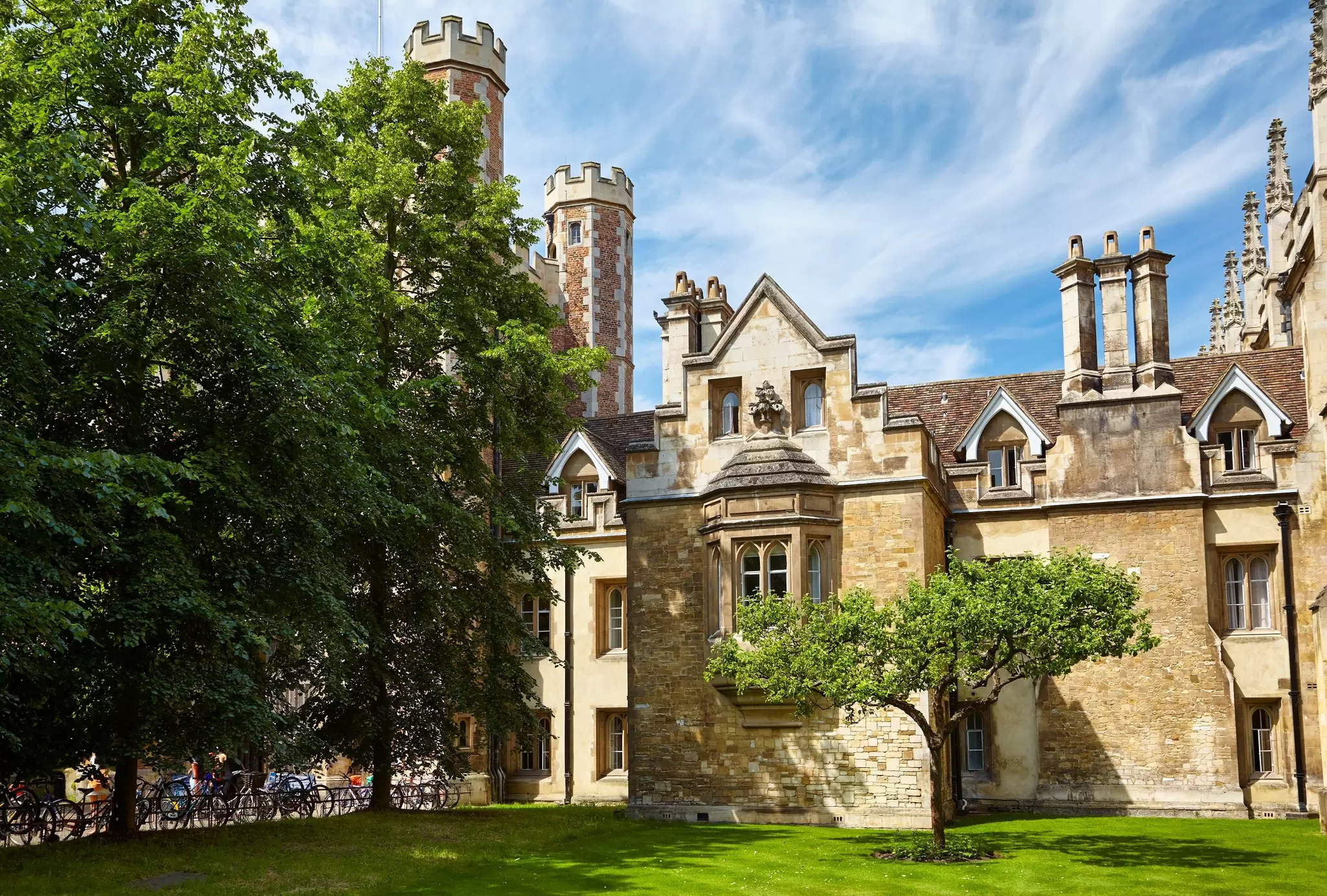 View of Newton's Apple Tree growing outside the main entrance to Trinity College at Cambridge University in the UK.