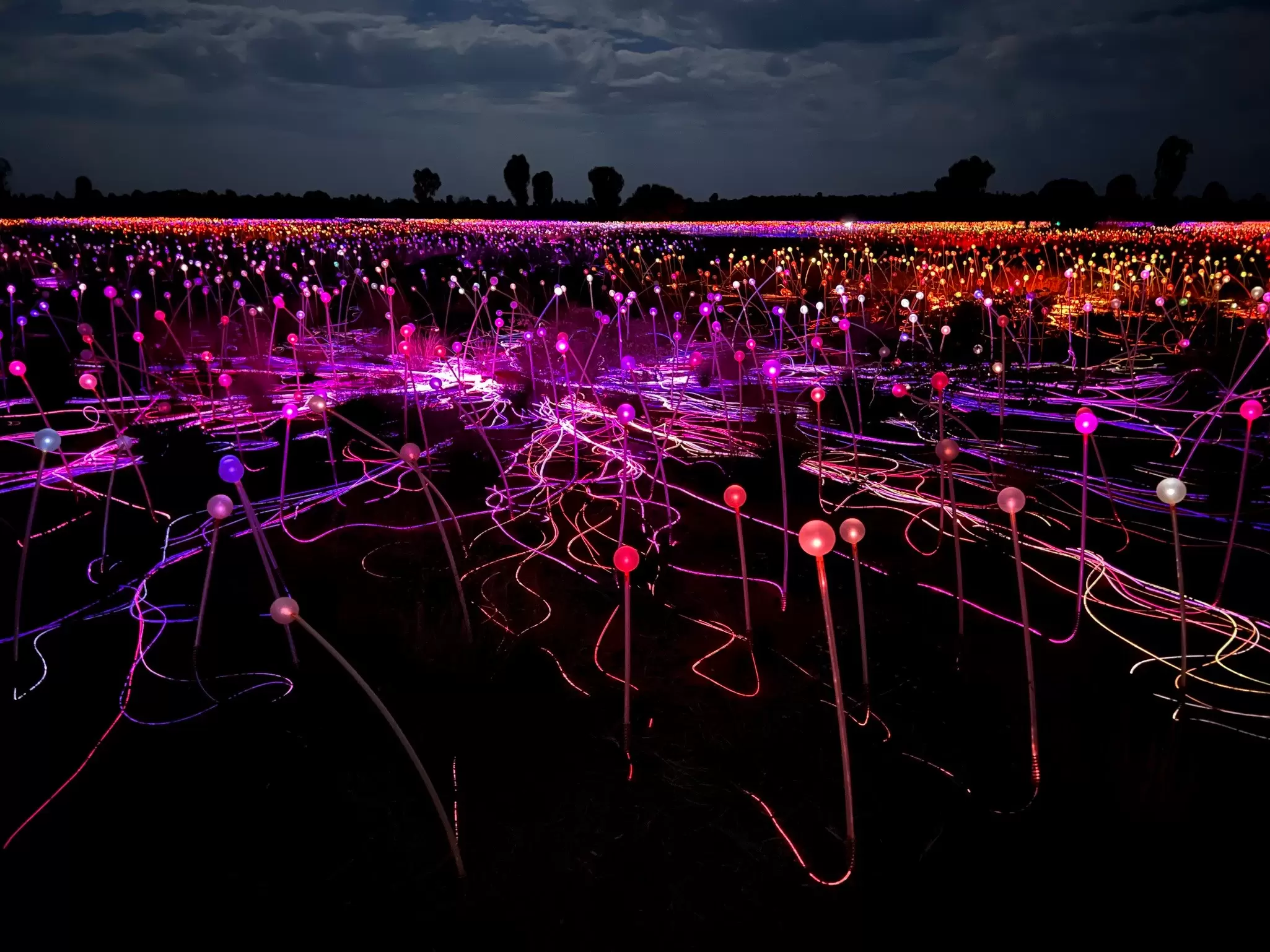 Tiny colourful lights that make up Bruce Munro's Field of Light installation at Uluru in the darkness